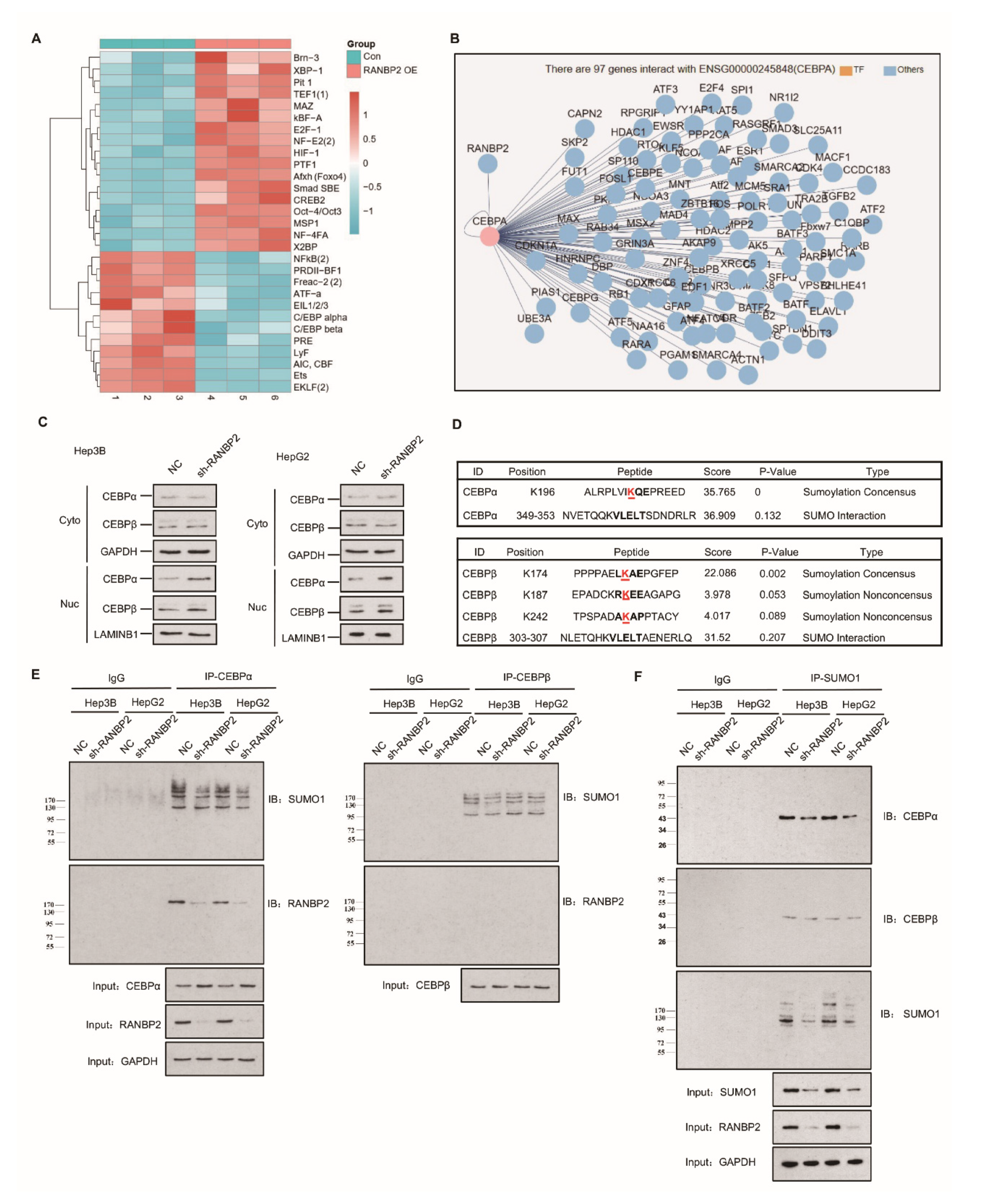 Cancers 13 03475 g002