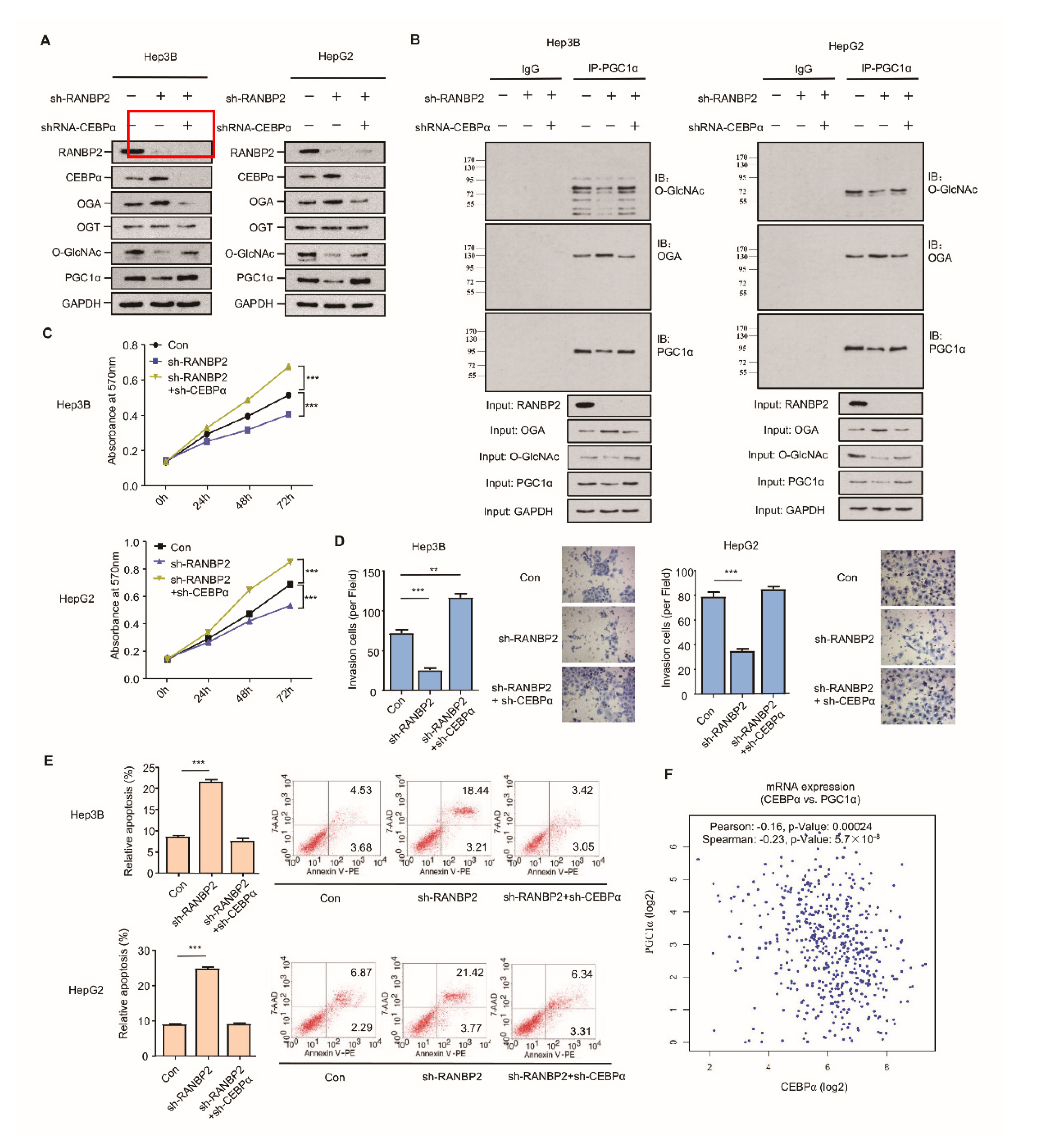 Cancers 13 03475 g005