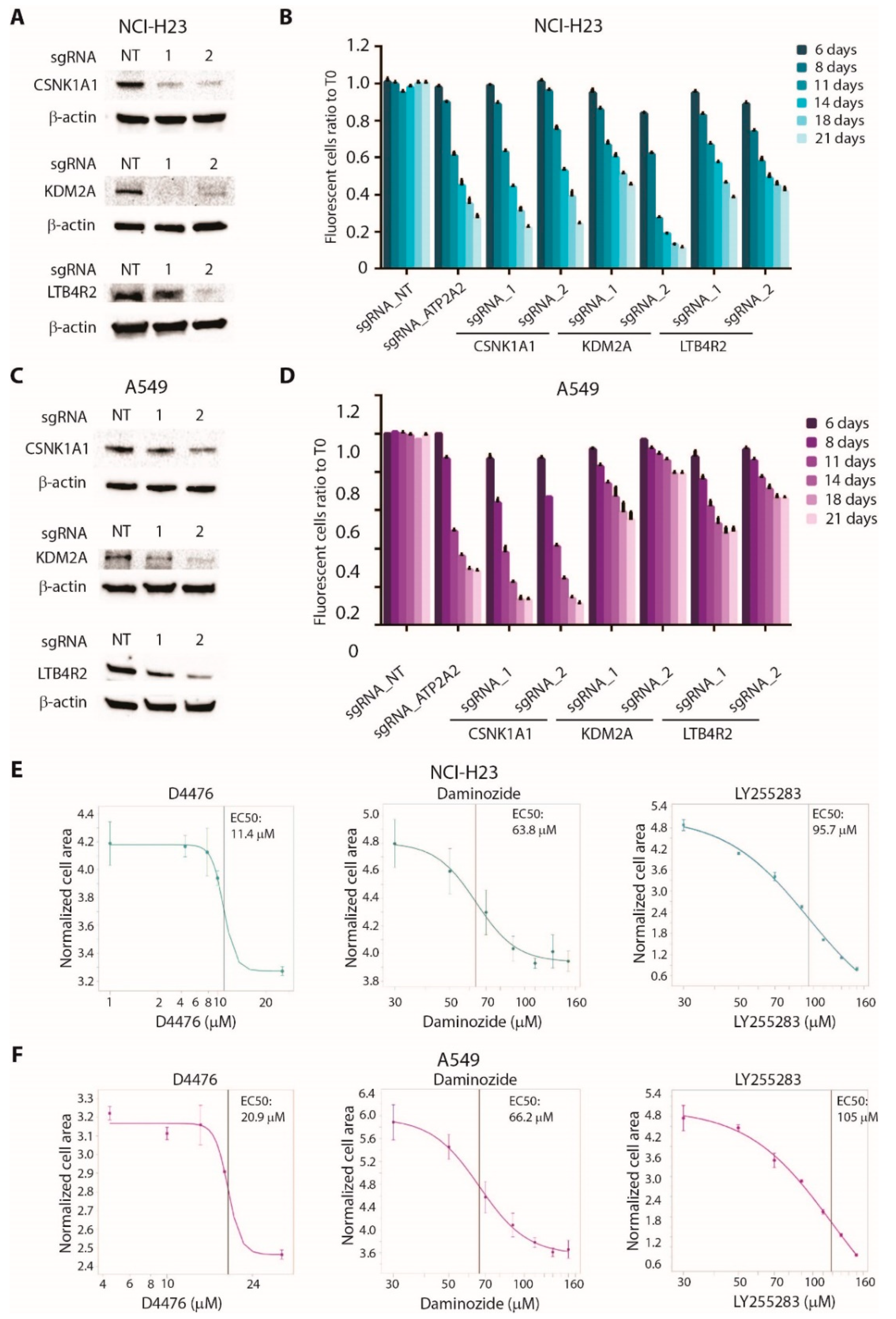 Cancers 13 03477 g006