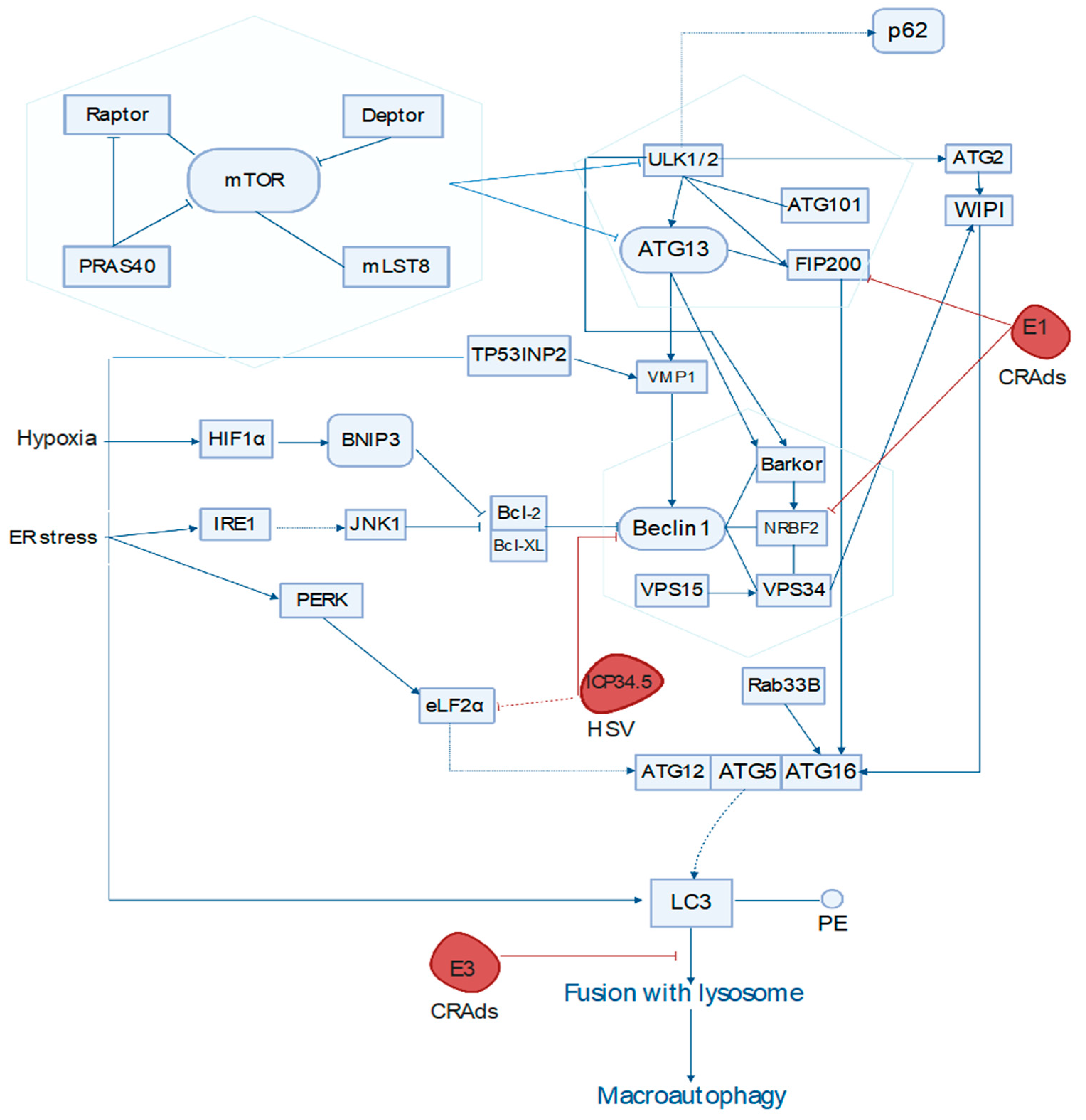 Cancers 13 03482 g002