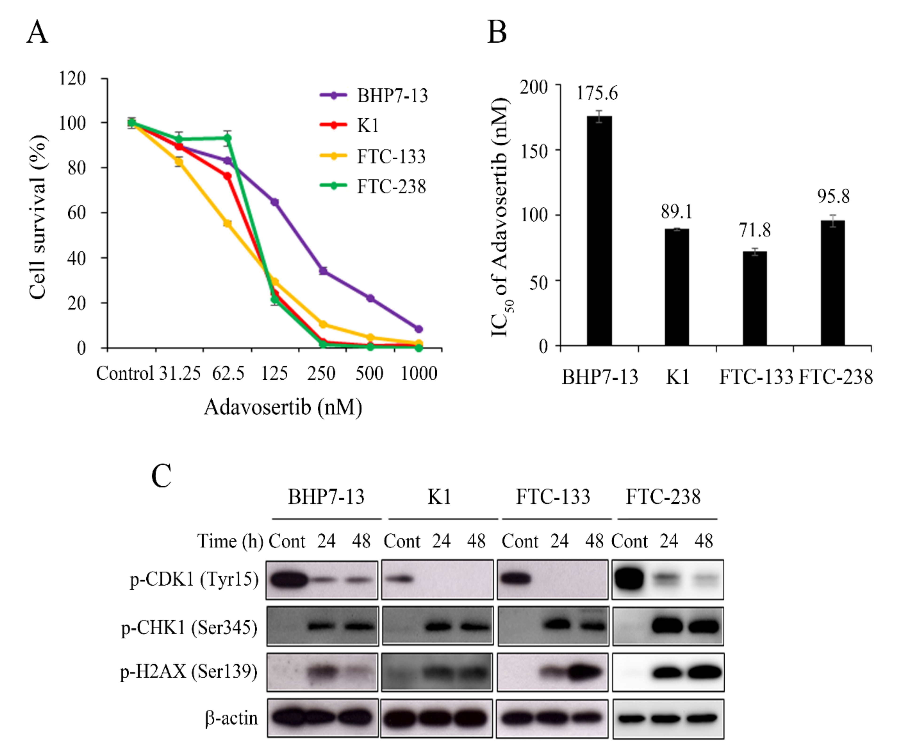 Cancers 13 03487 g001