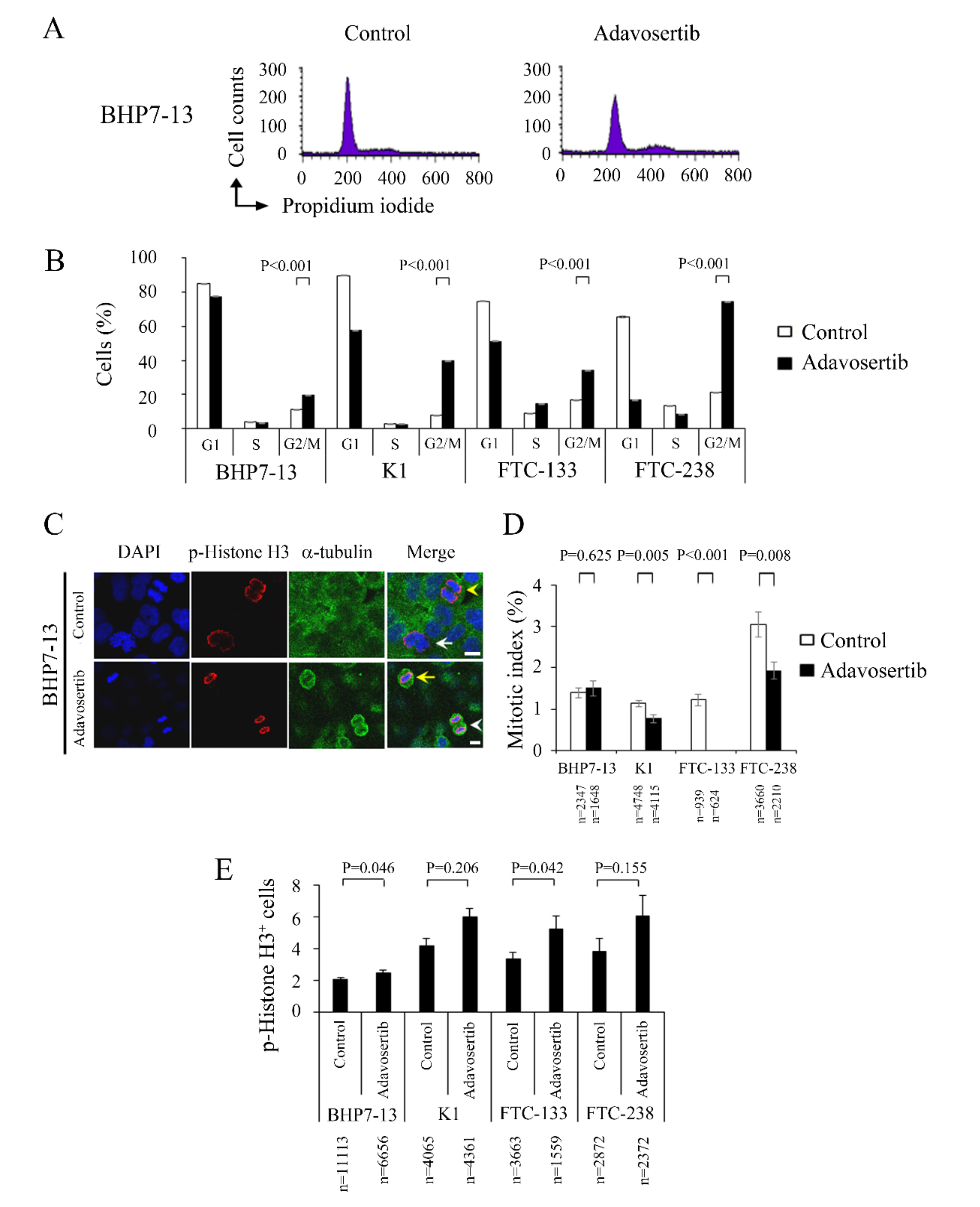 Cancers 13 03487 g002