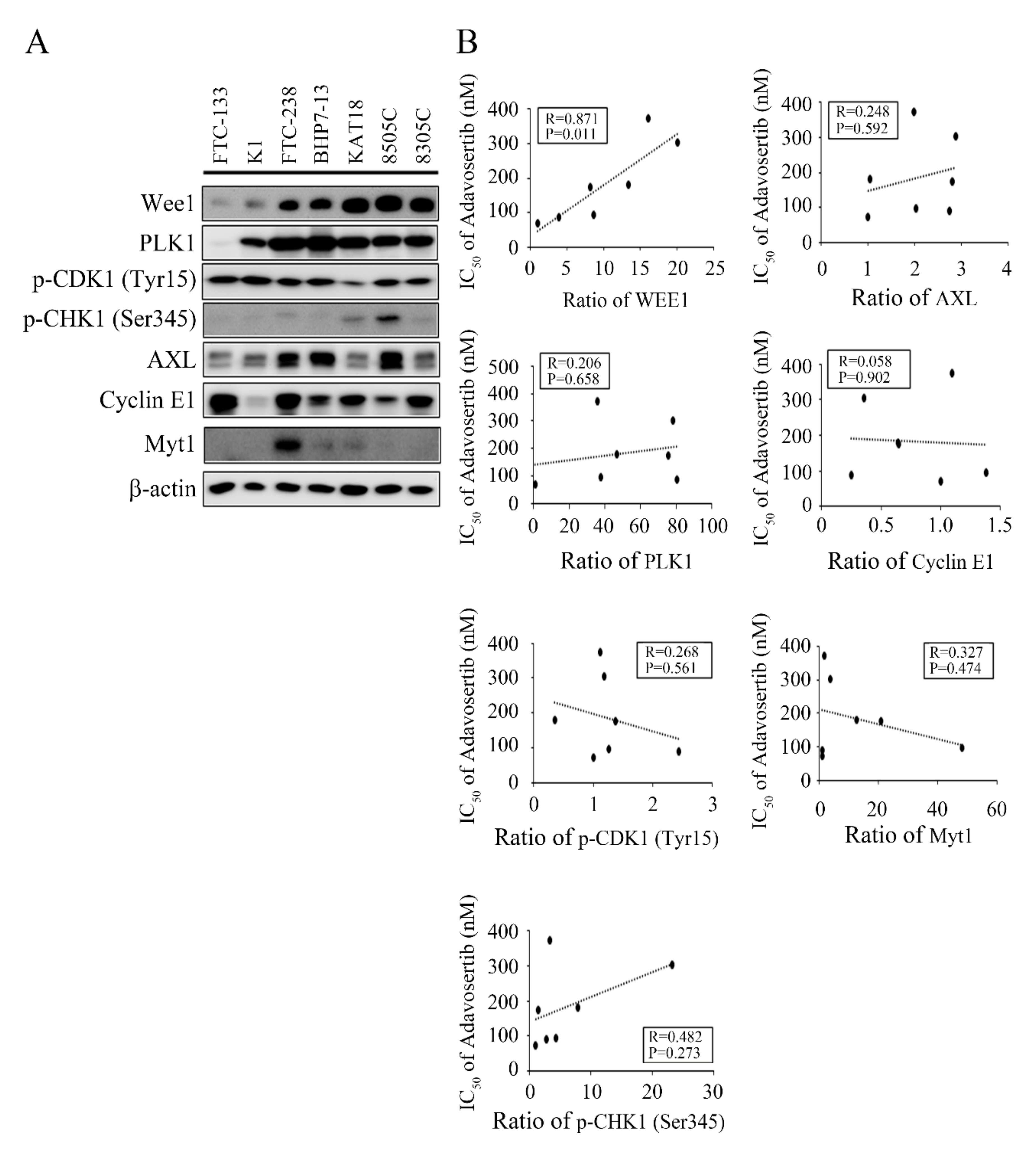 Cancers 13 03487 g004