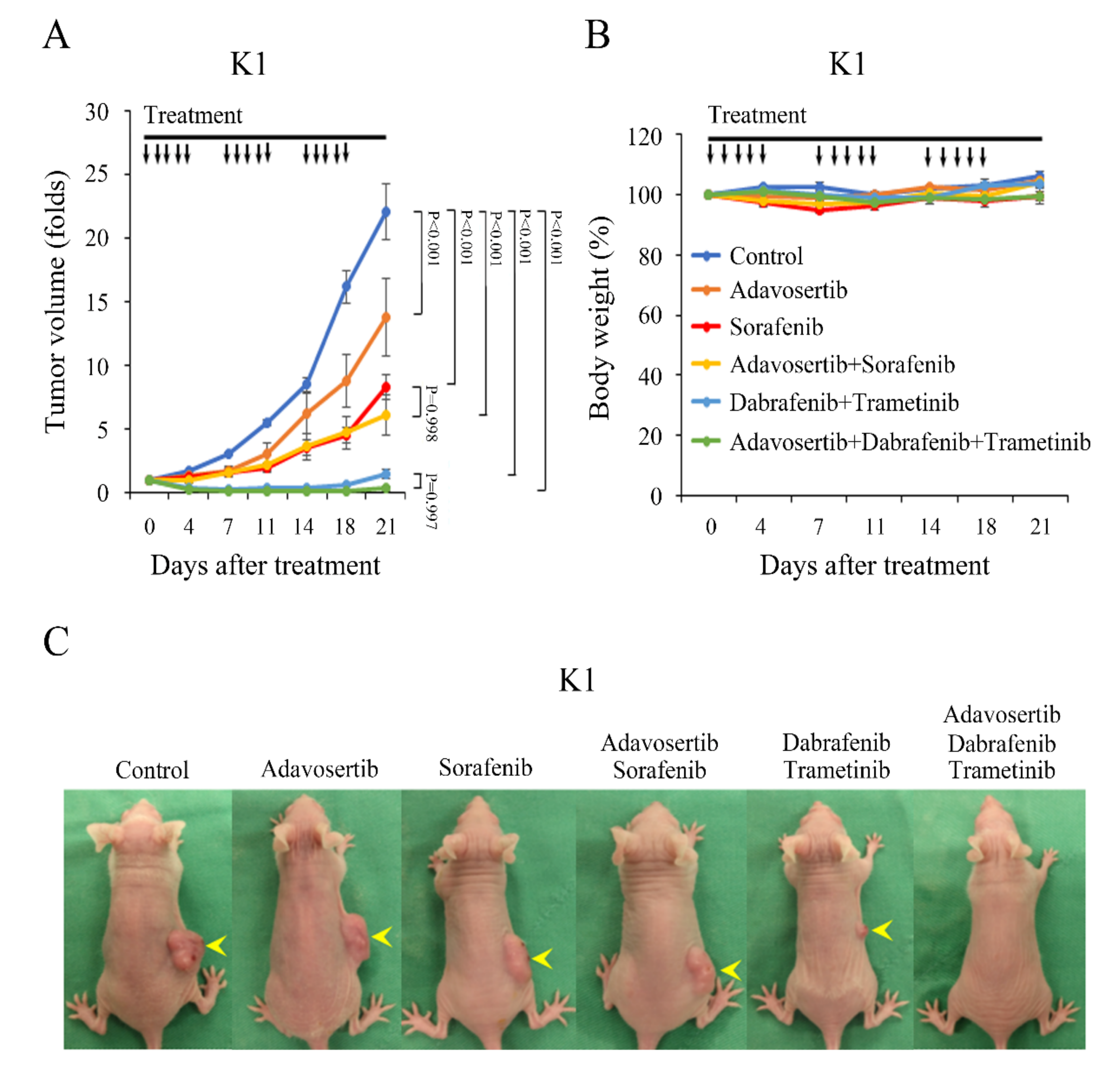 Cancers 13 03487 g006