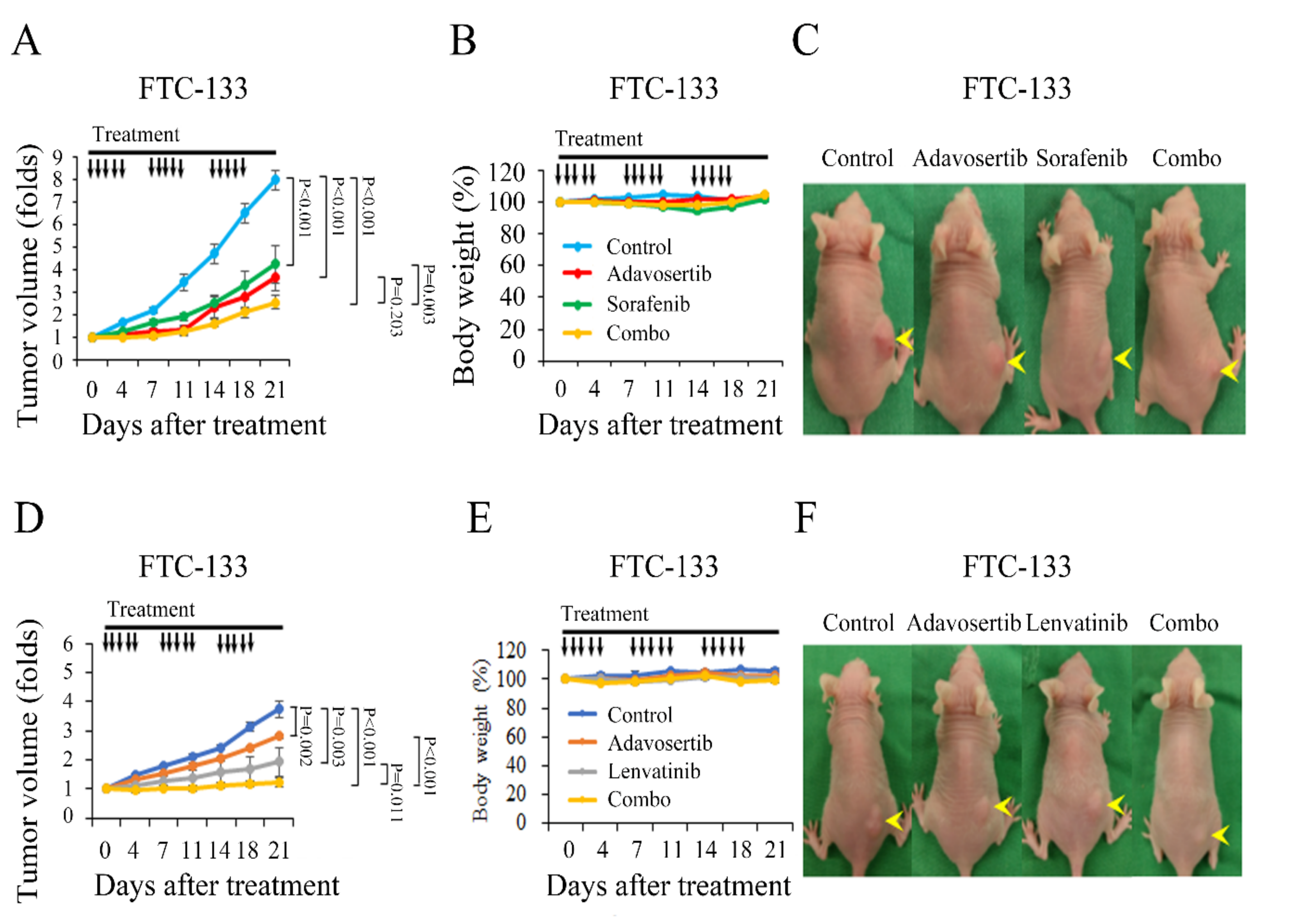 Cancers 13 03487 g007