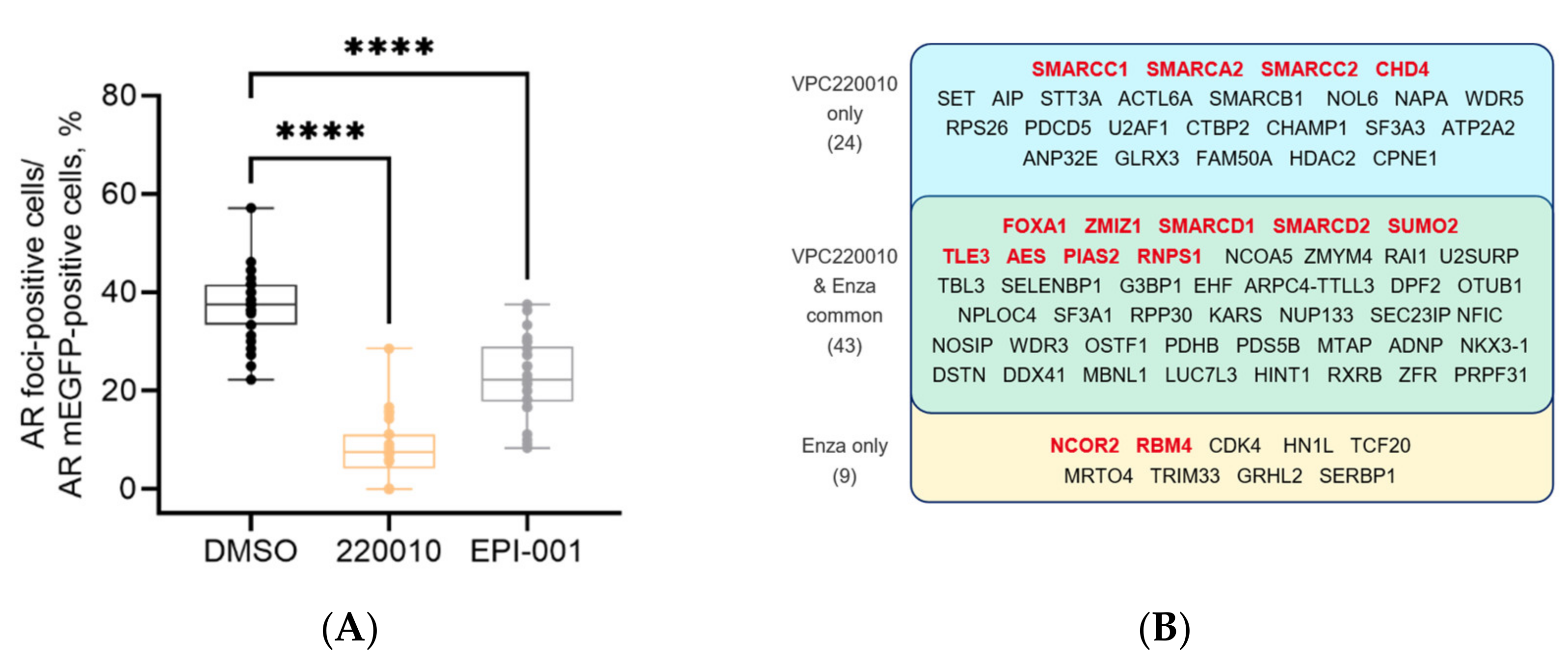 Cancers 13 03488 g006