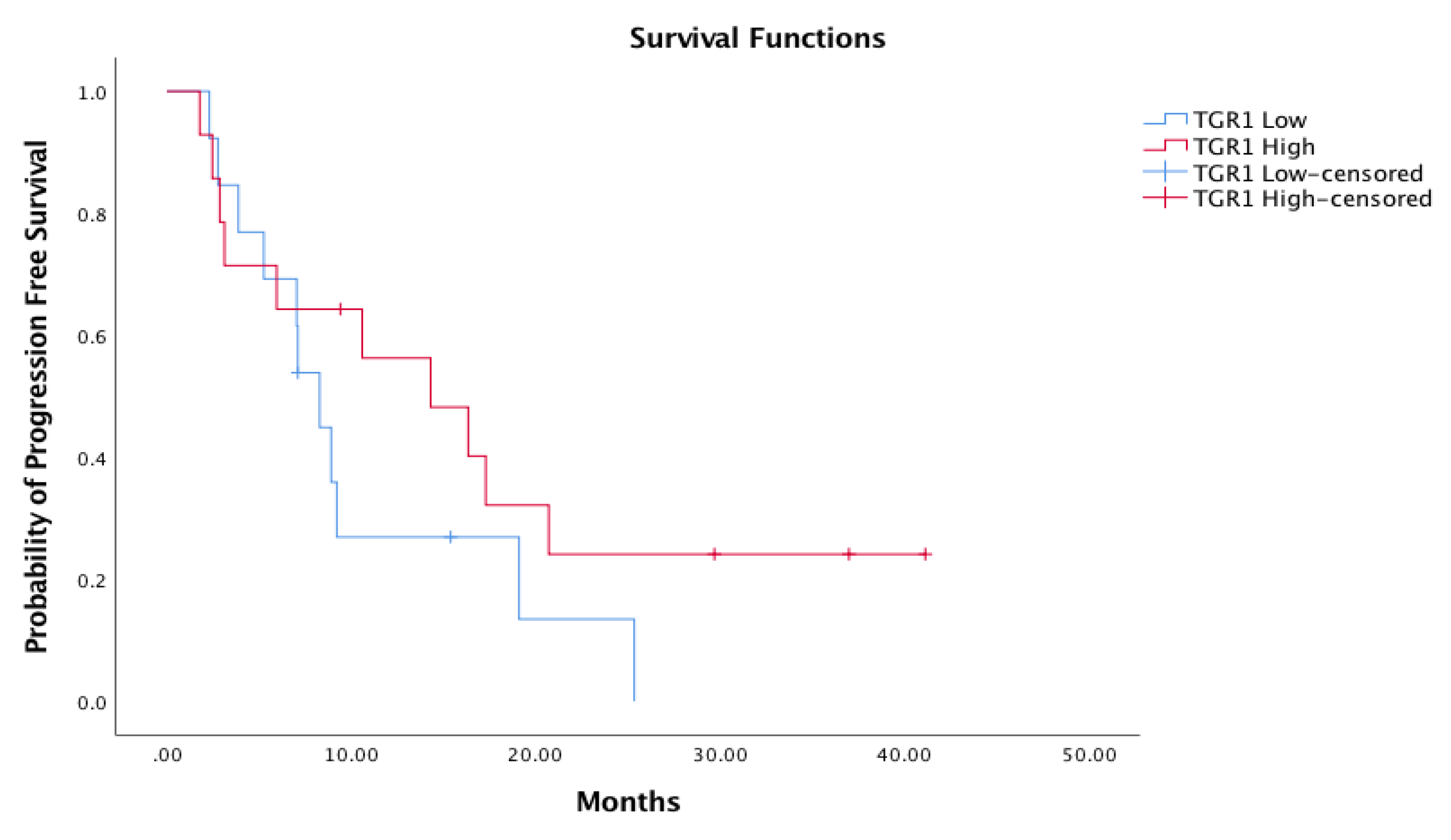 Cancers 13 03492 g002