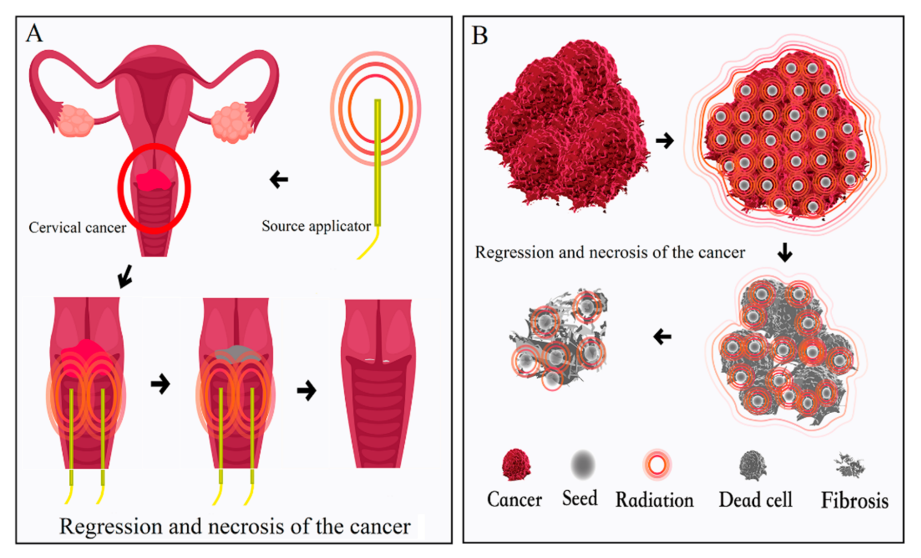 Cancers 13 03493 g002 Cancers 13 03493 g002