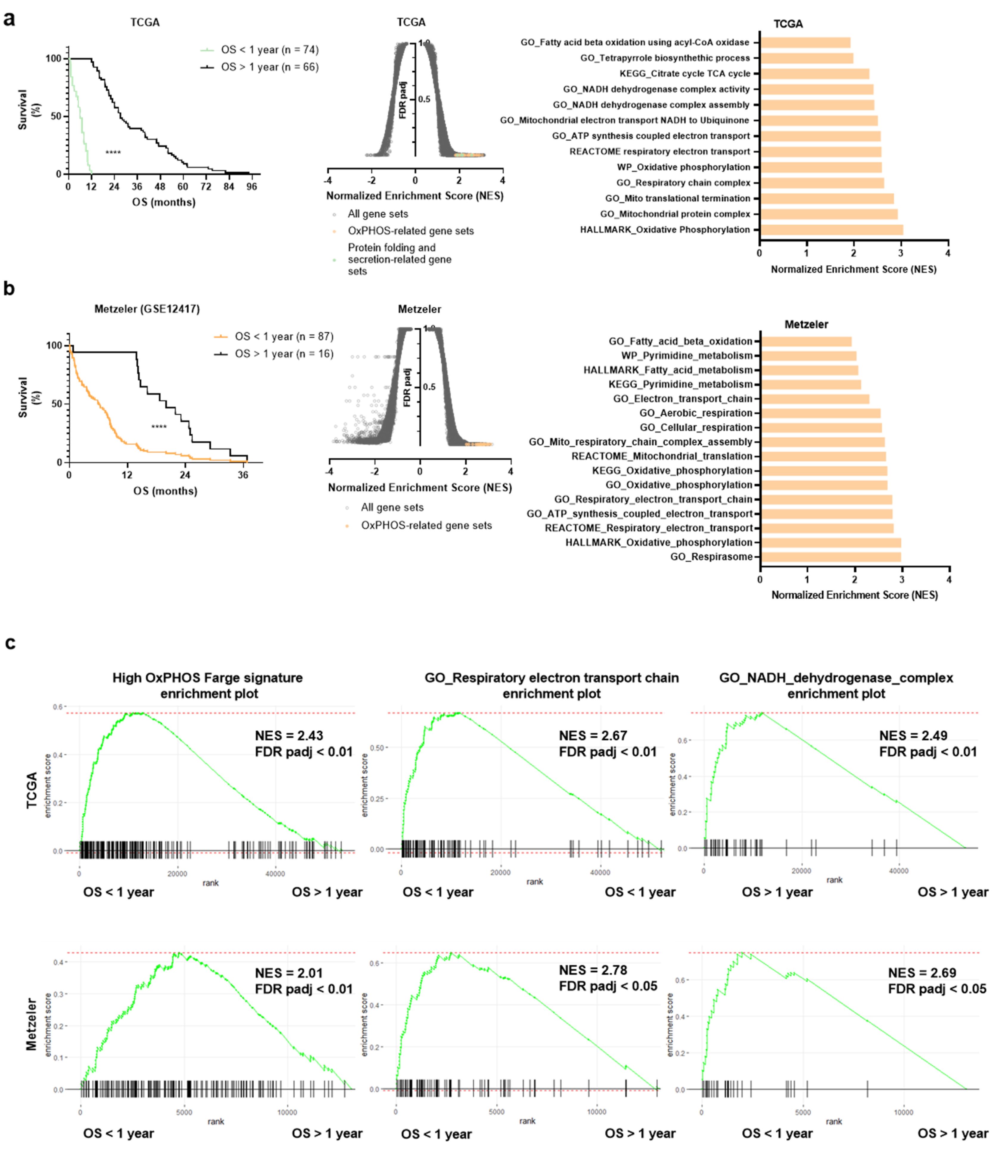 Cancers 13 03499 g001