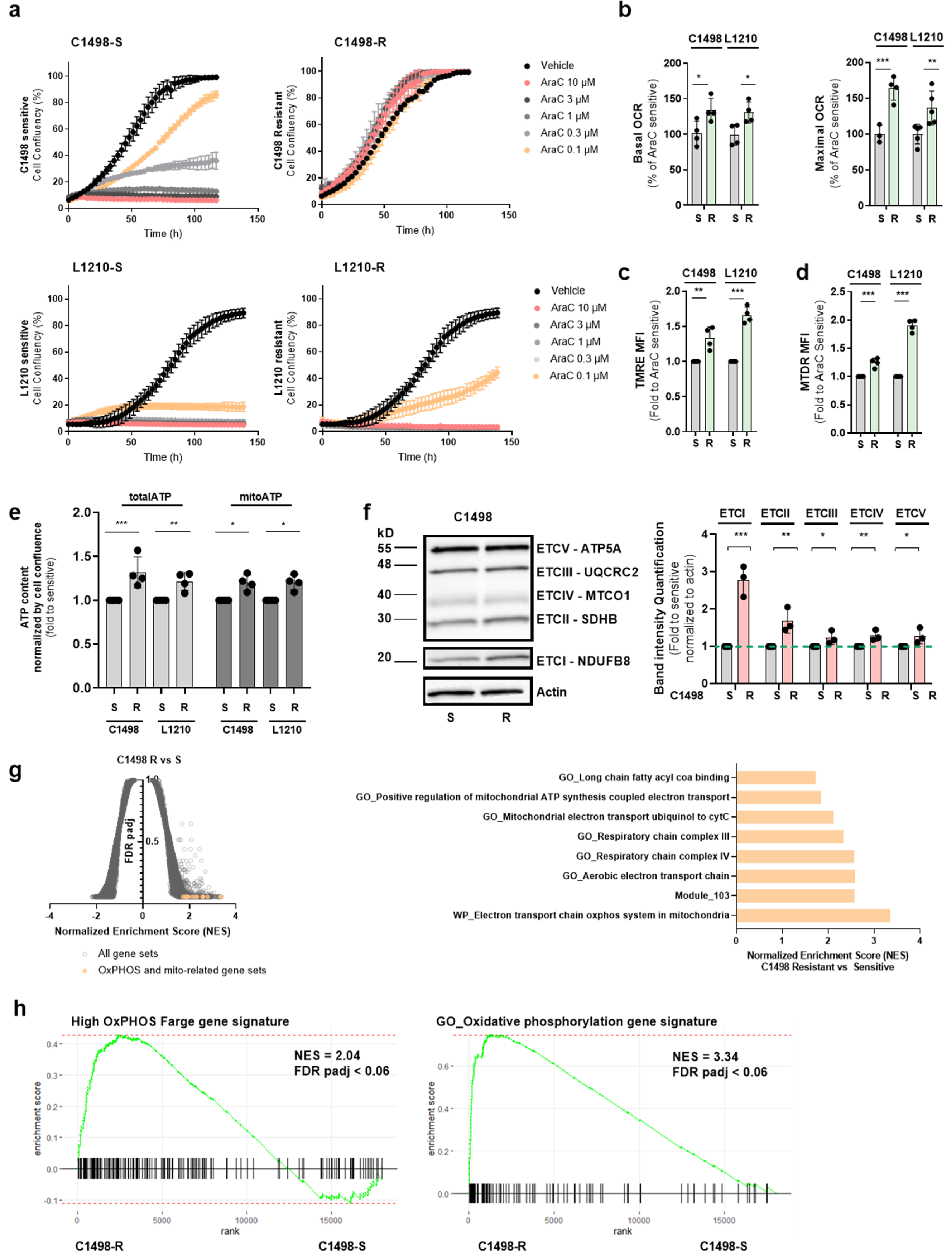 Cancers 13 03499 g002