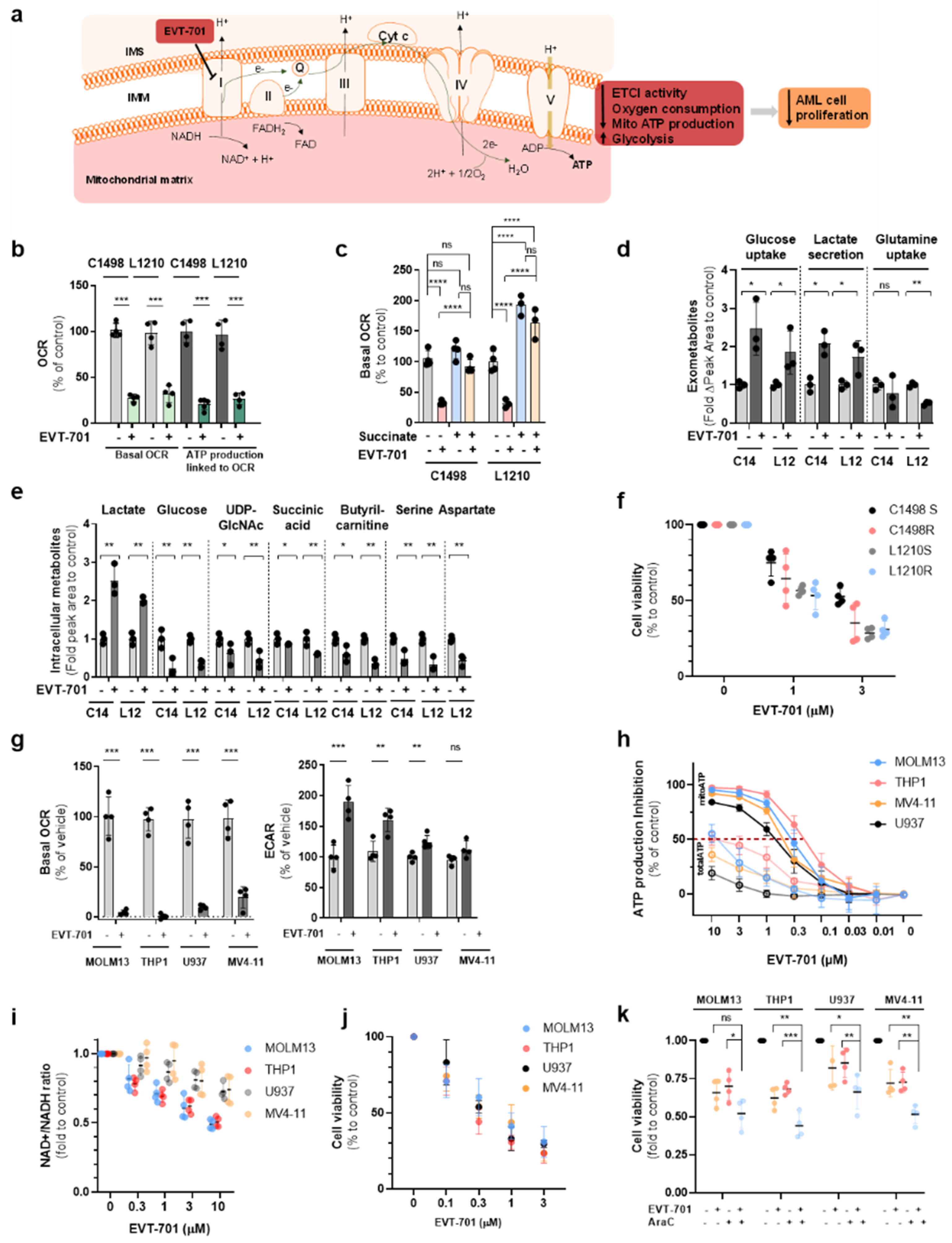Cancers 13 03499 g003