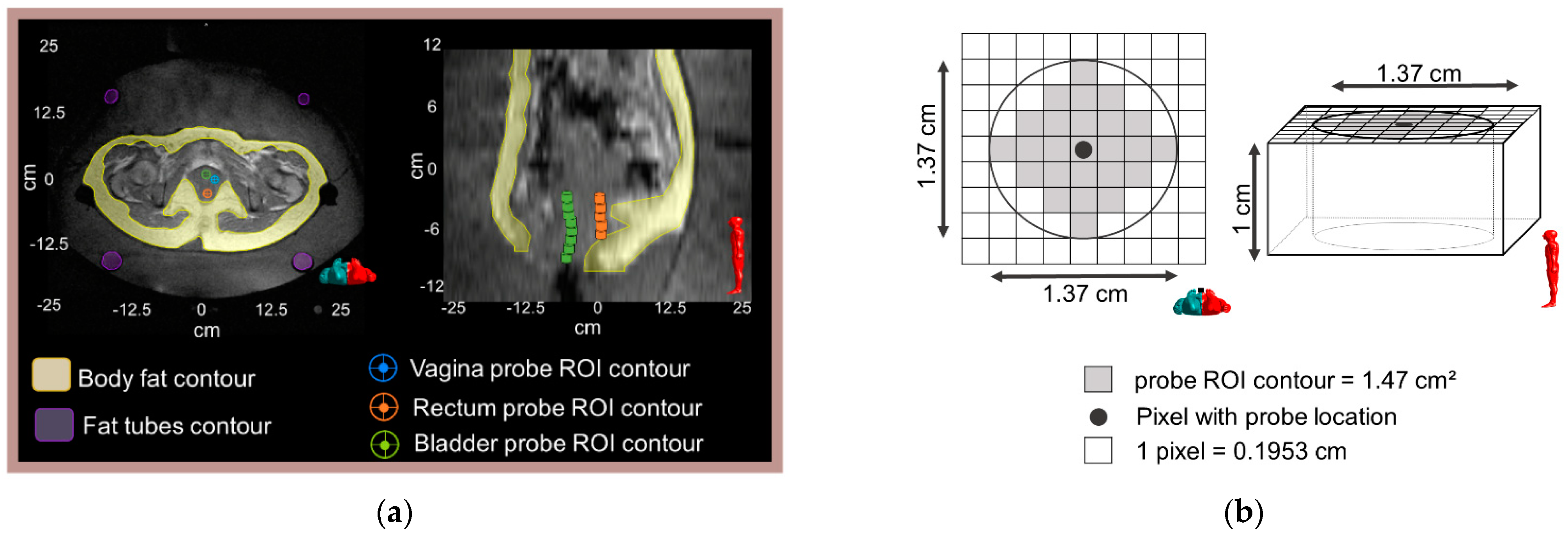 Cancers 13 03503 g002 Cancers 13 03503 g002