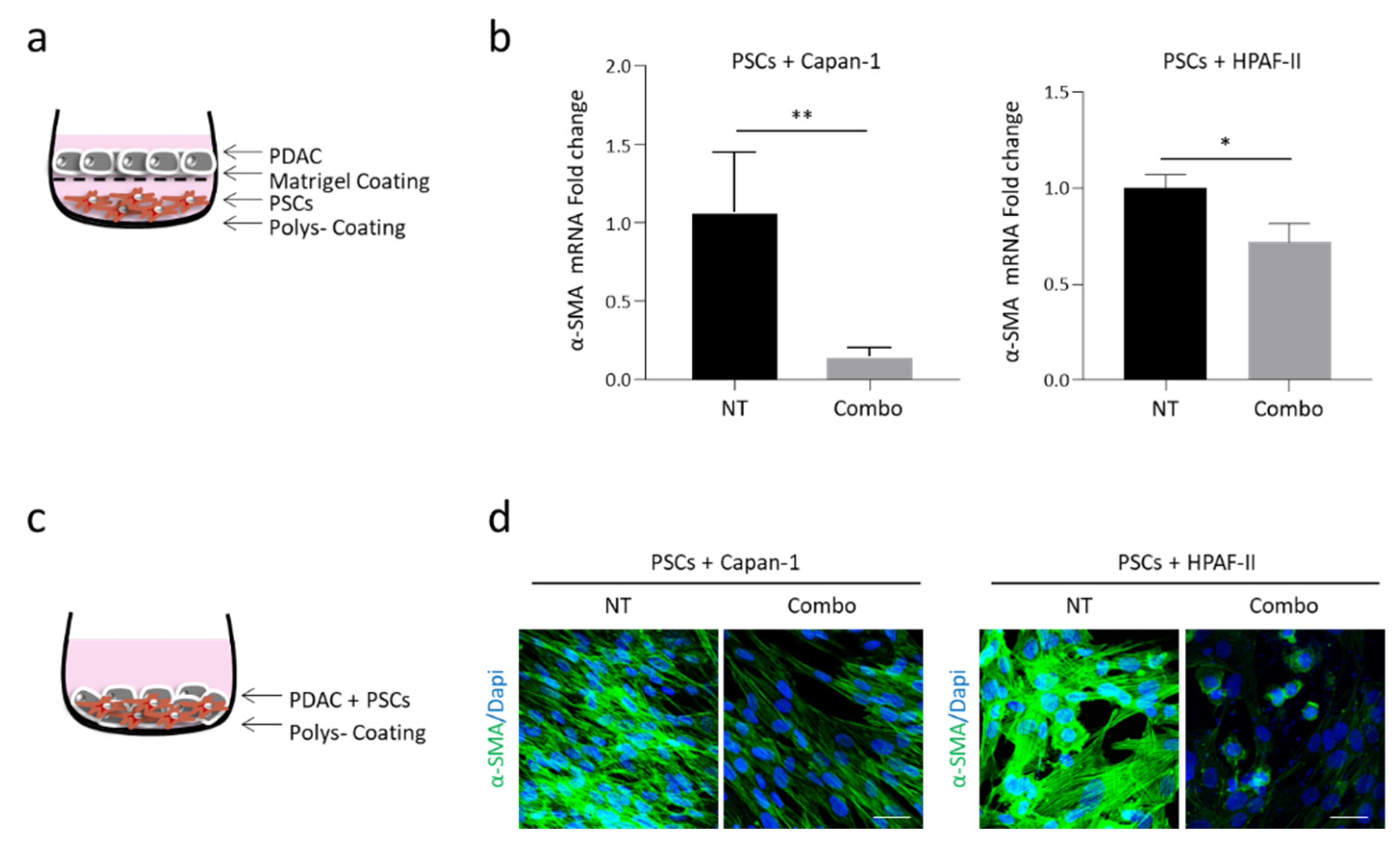 Cancers 13 03519 g001