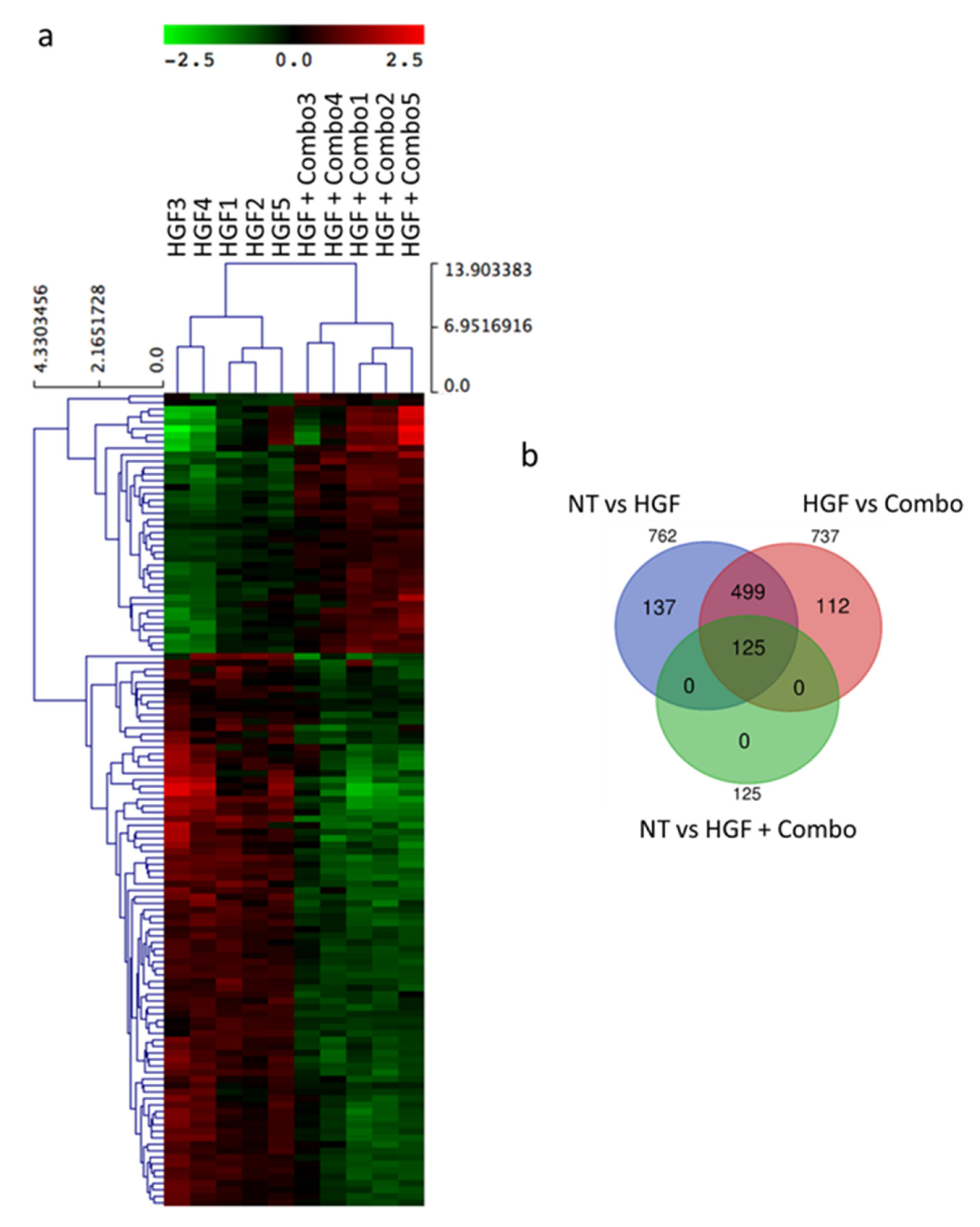 Cancers 13 03519 g002