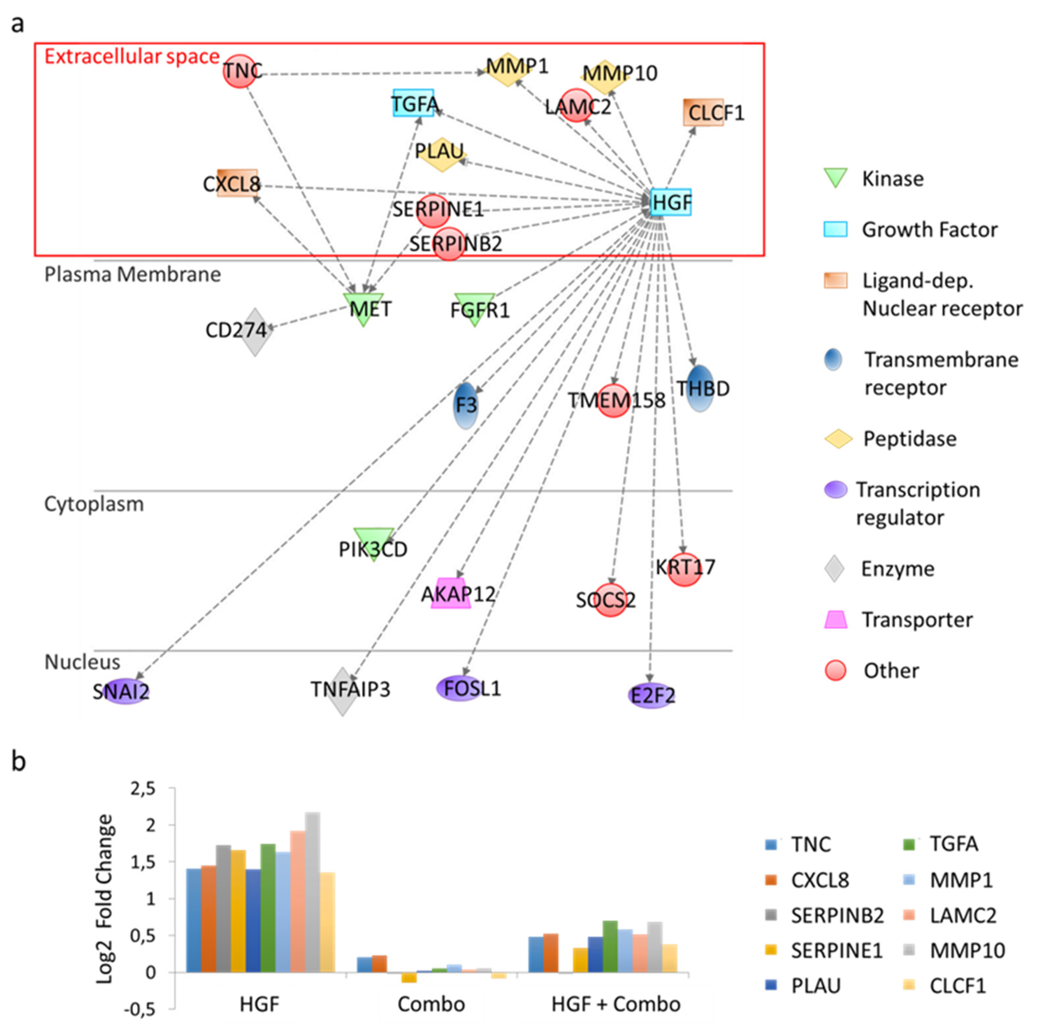 Cancers 13 03519 g003