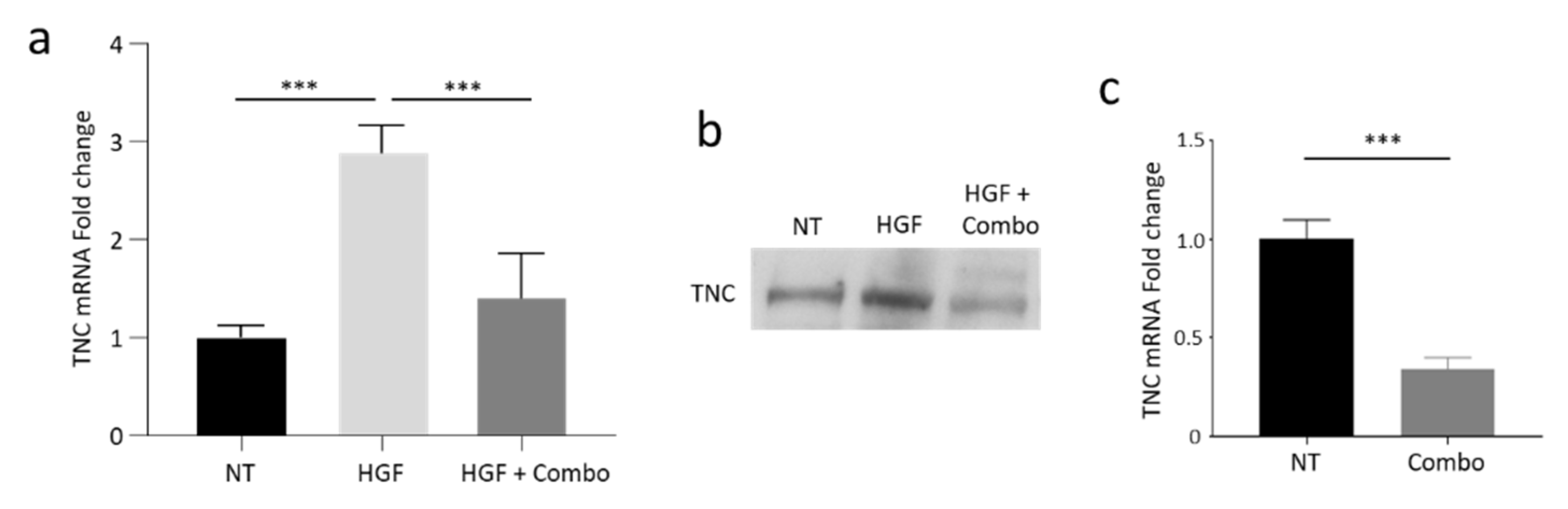 Cancers 13 03519 g004
