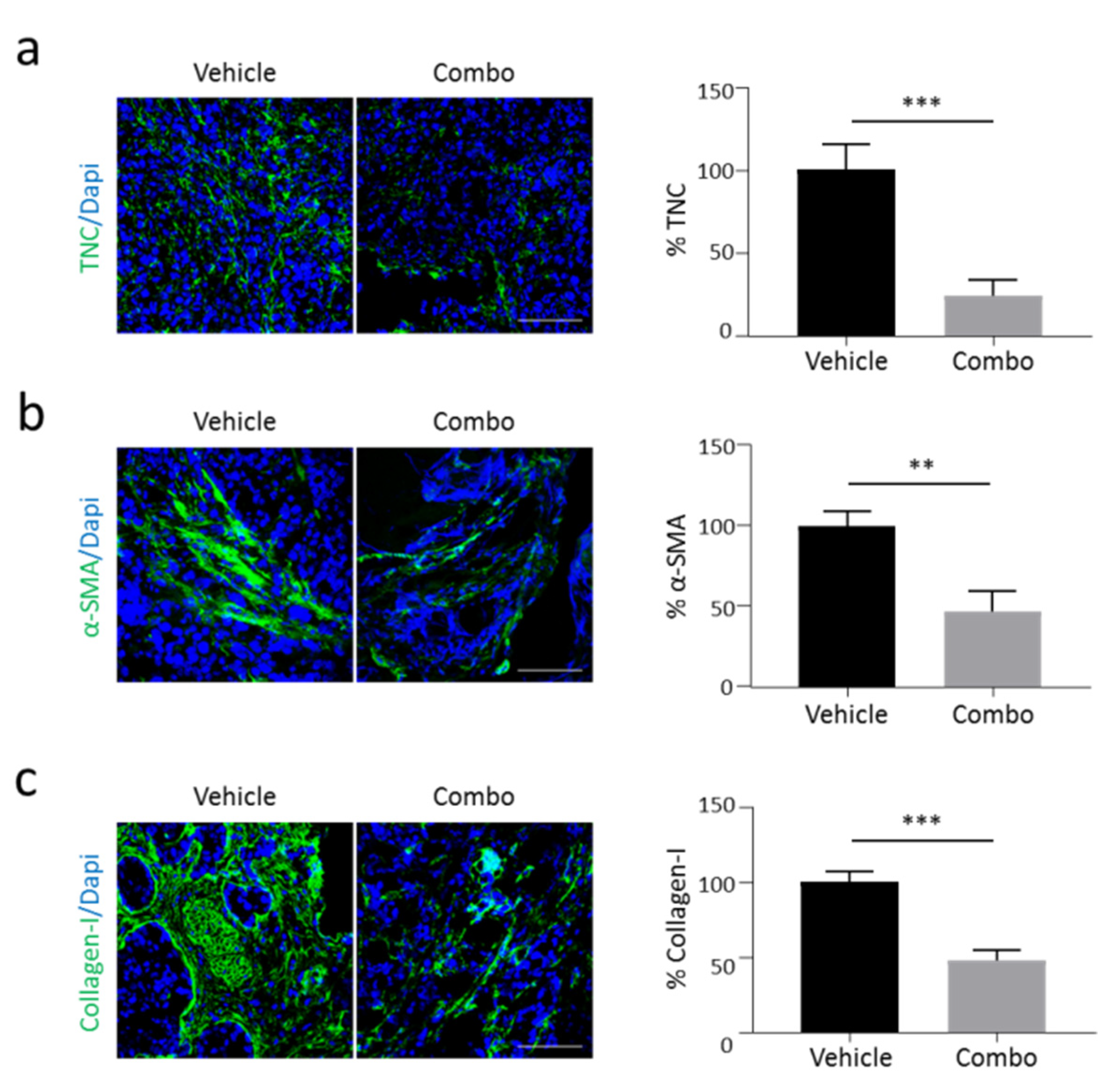 Cancers 13 03519 g005