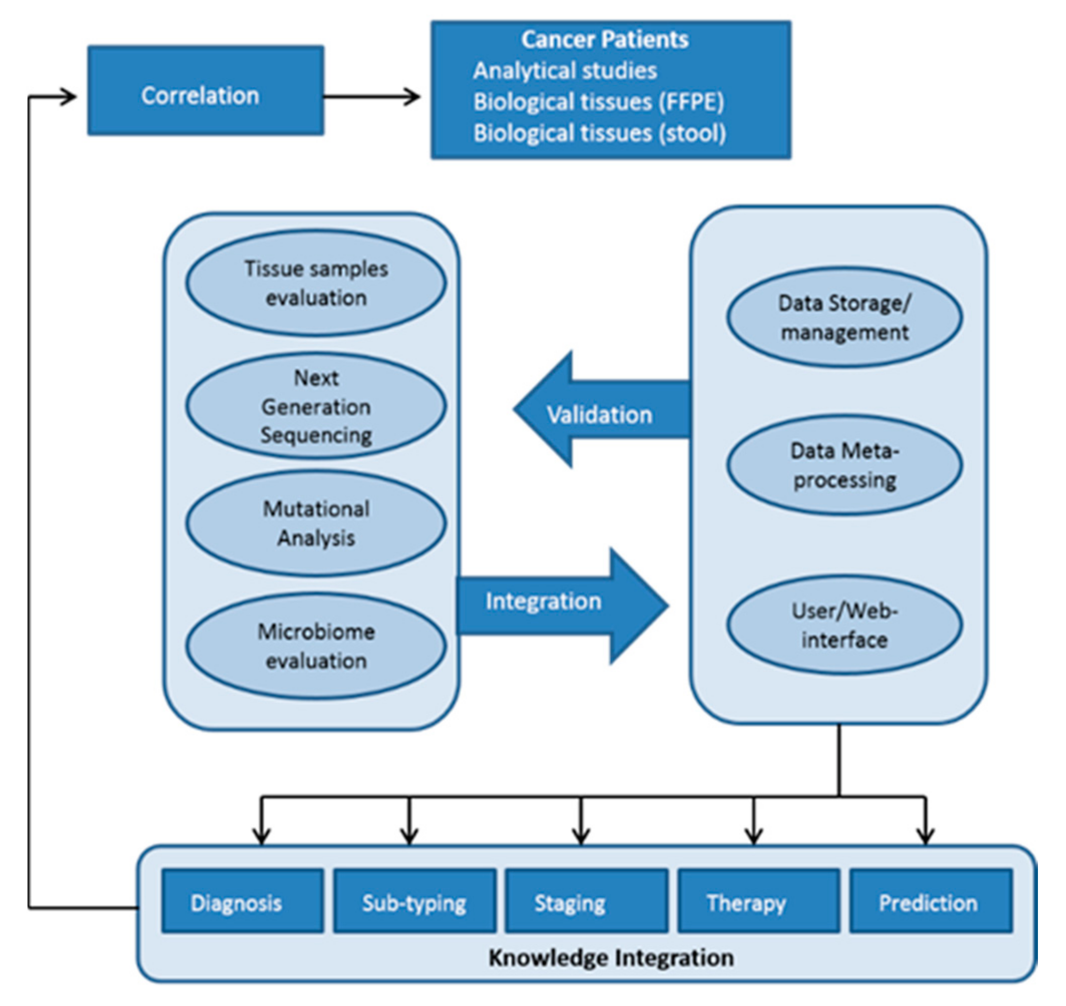 Cancers 13 03522 g002