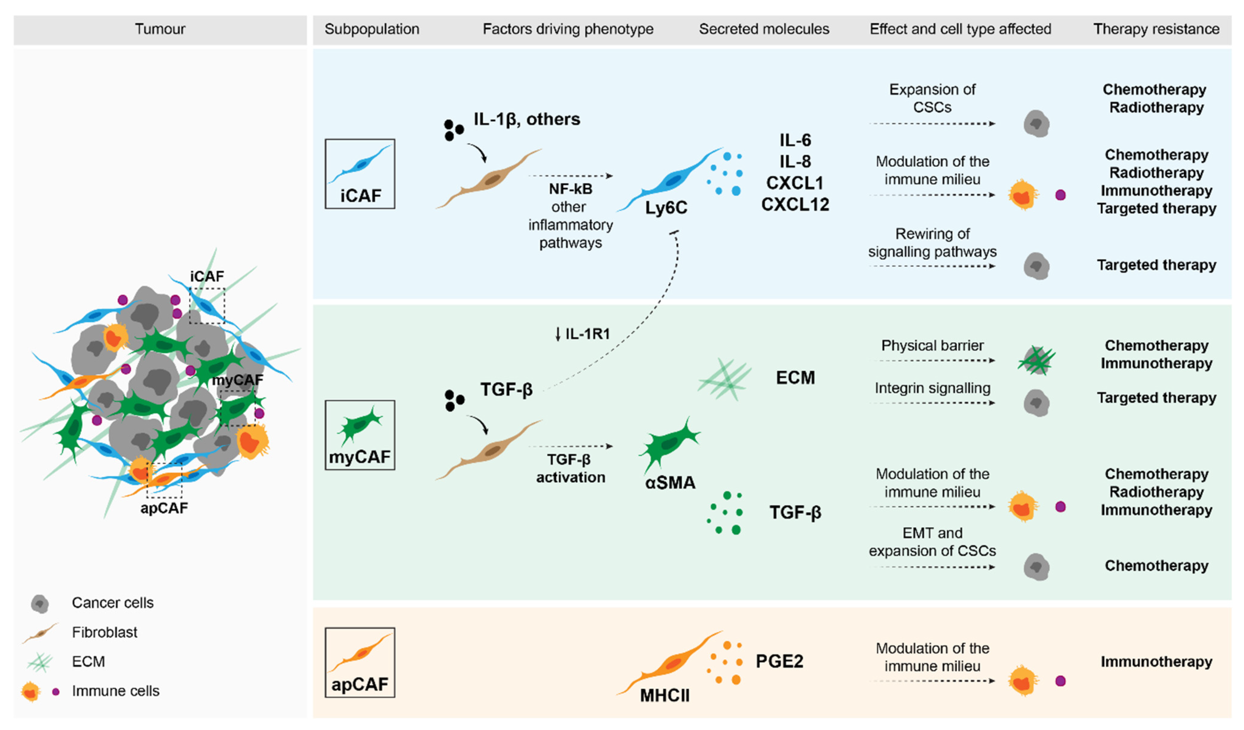 Cancers 13 03526 g001