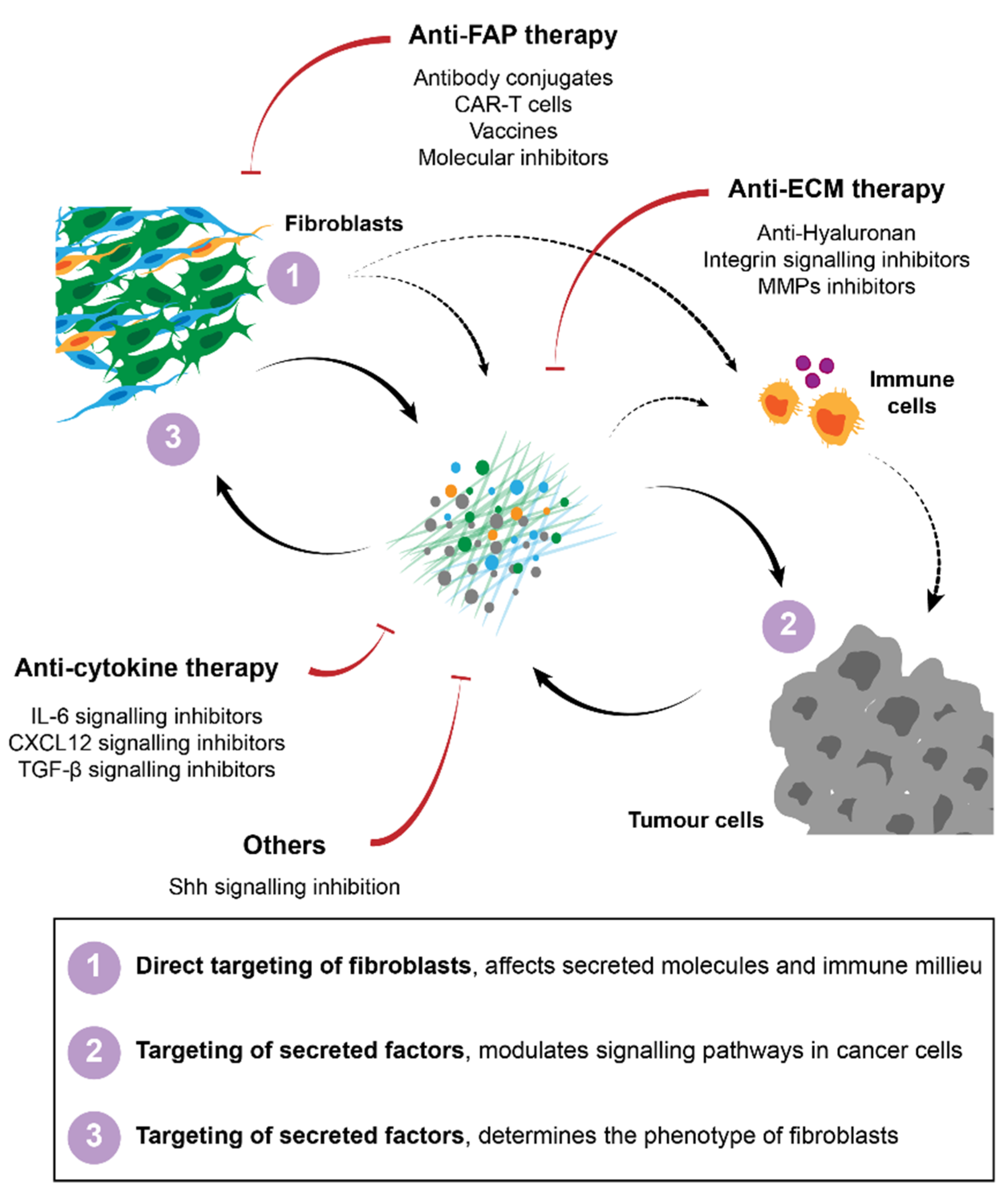 Cancers 13 03526 g002