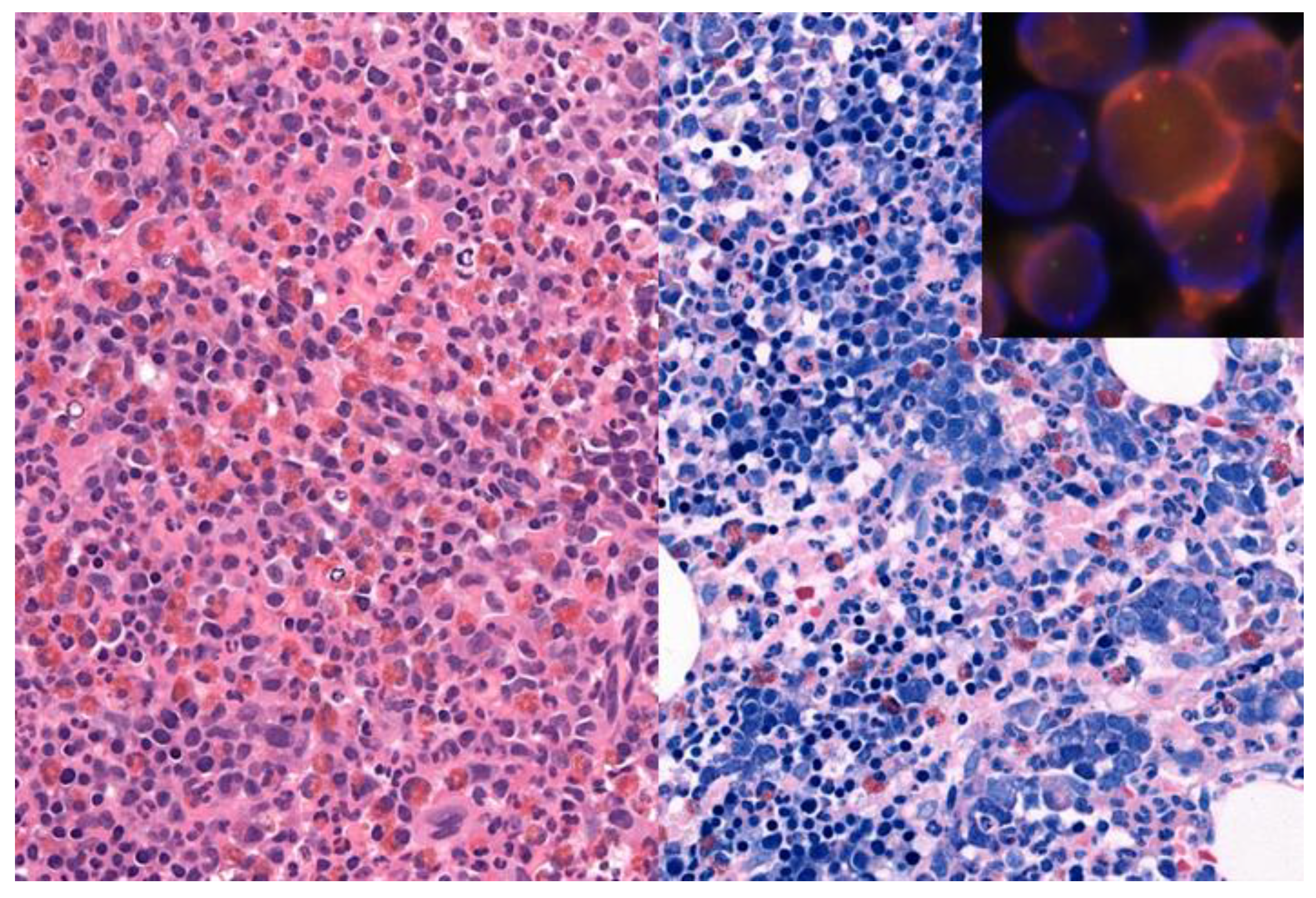 Cancers 13 03528 g002