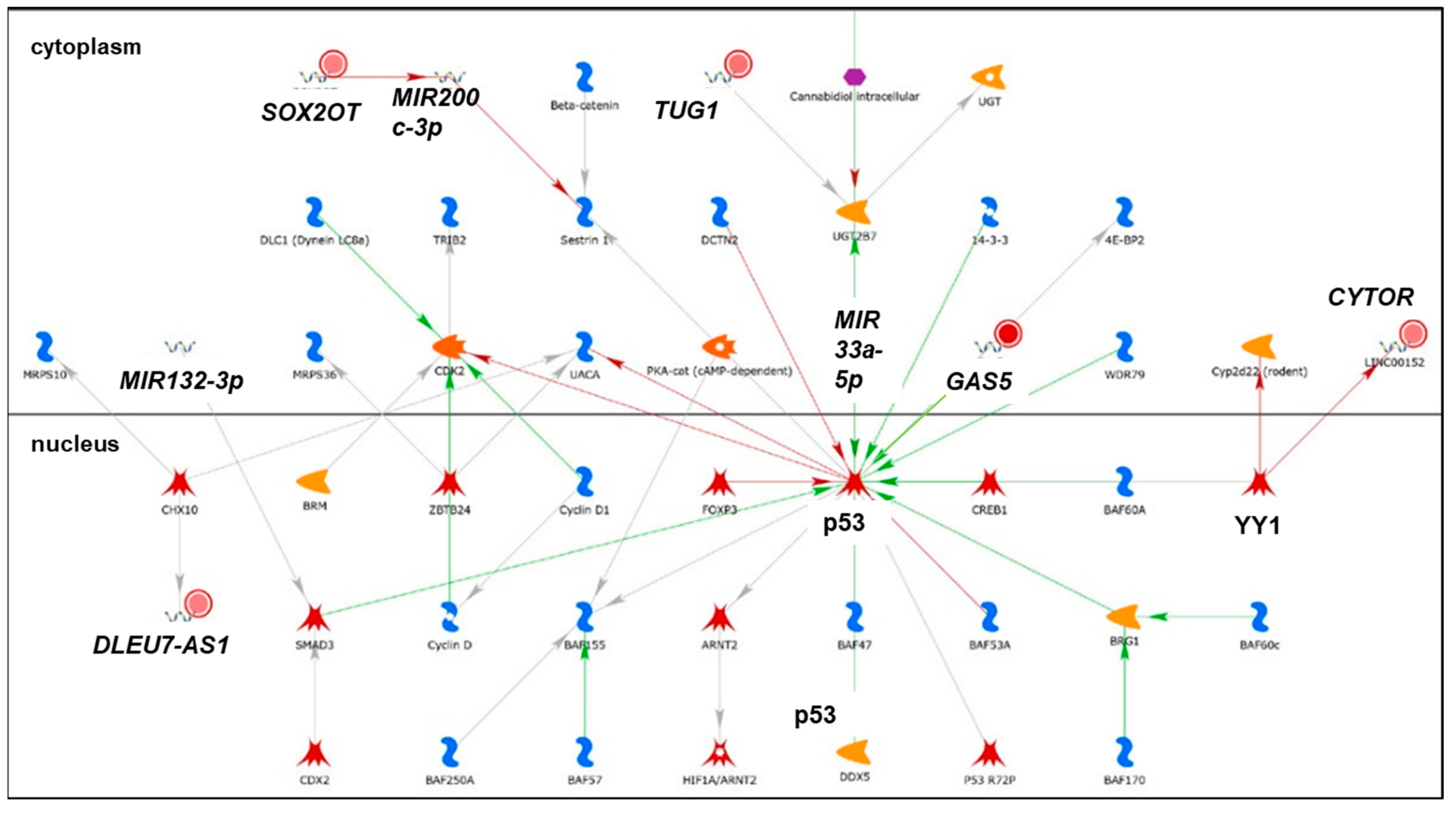 Cancers 13 03530 g003