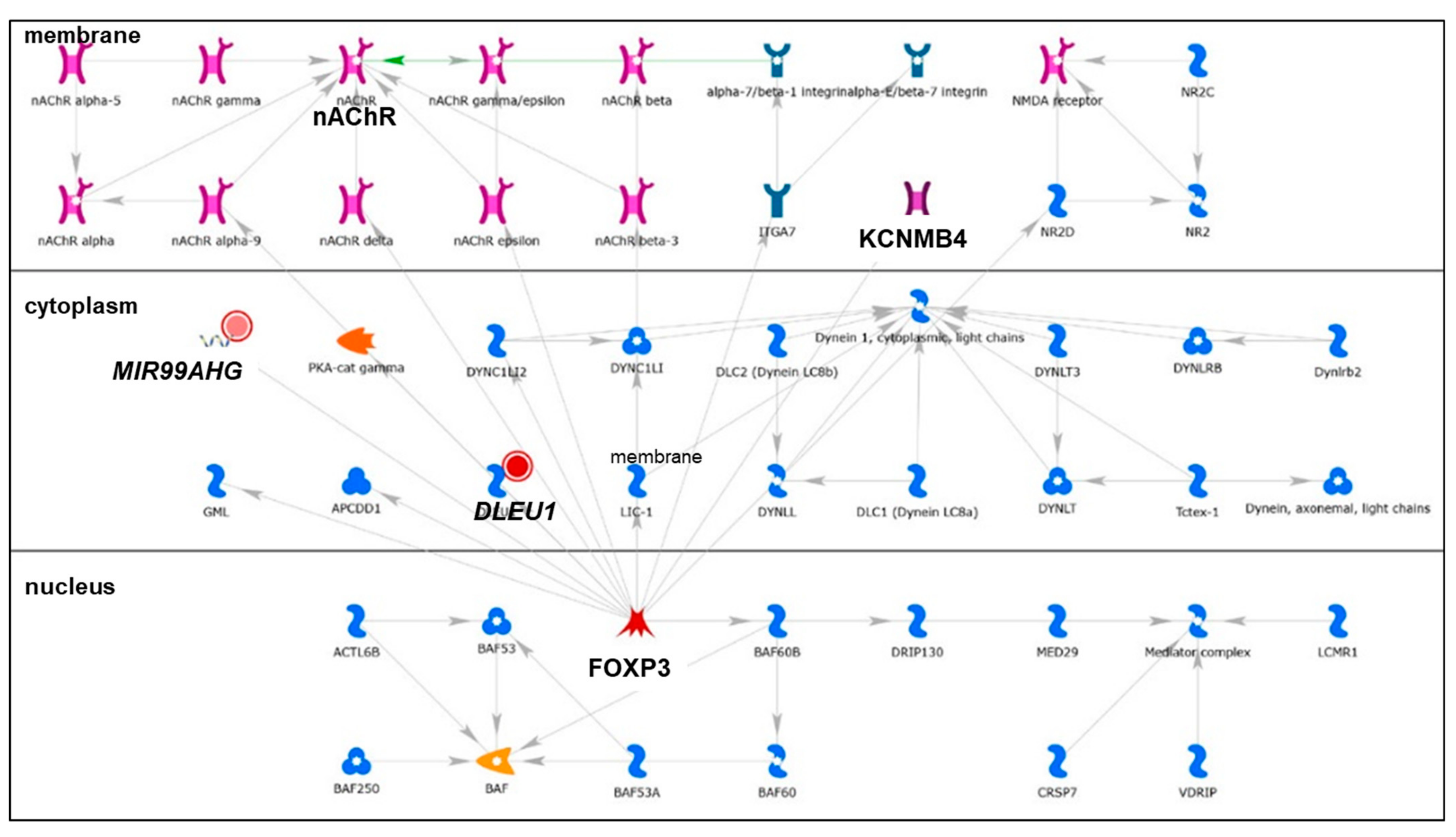 Cancers 13 03530 g004