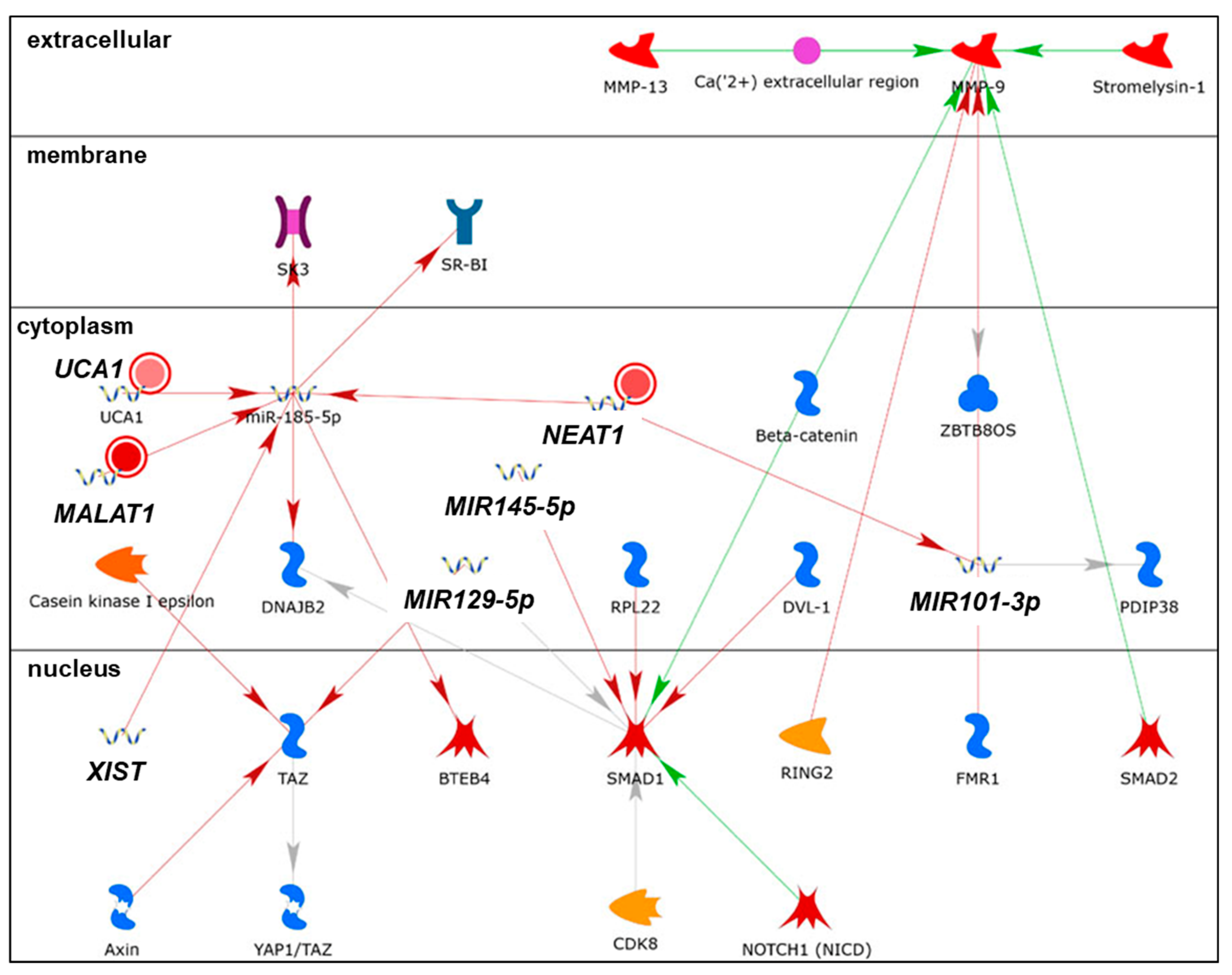 Cancers 13 03530 g008