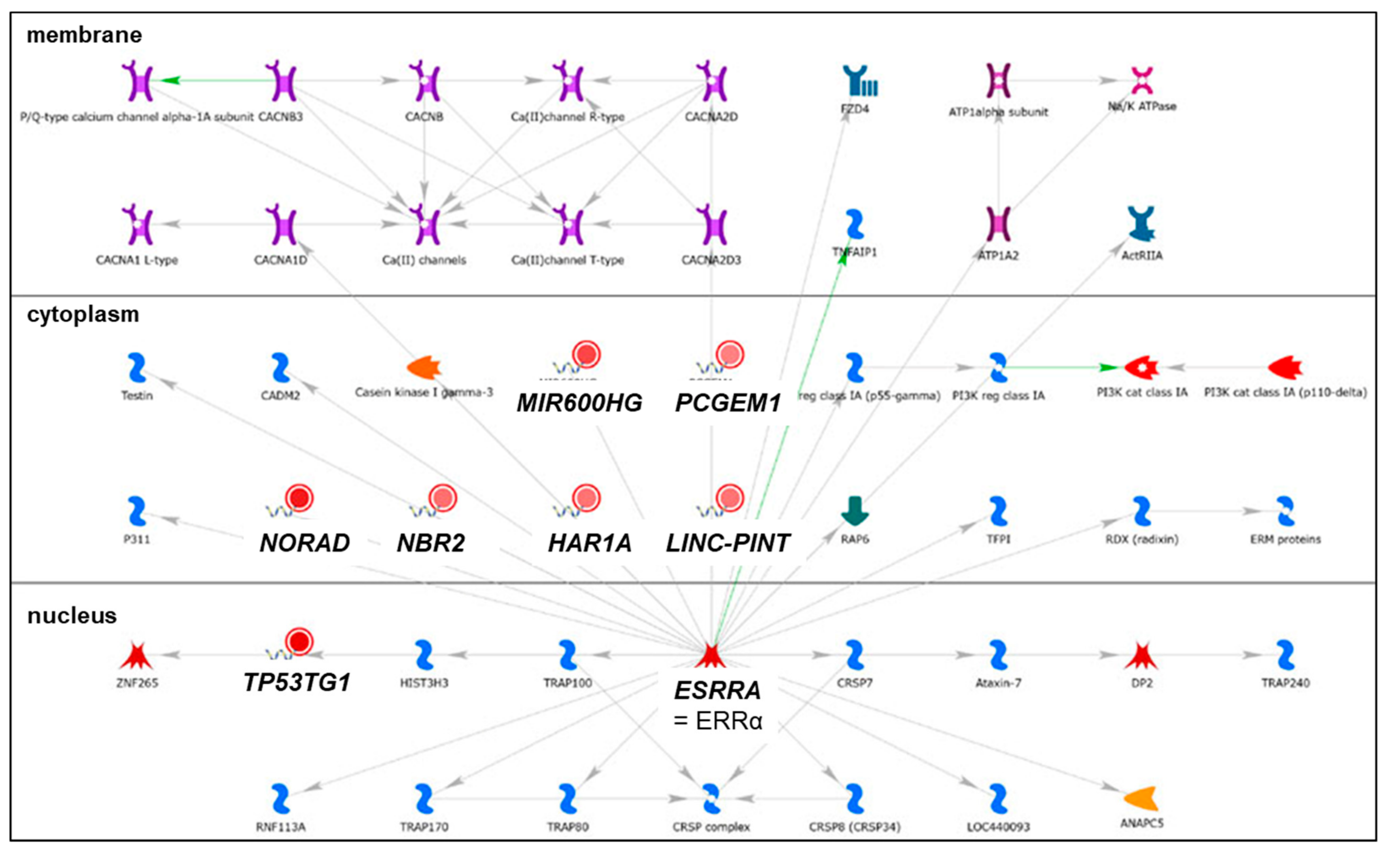 Cancers 13 03530 g009