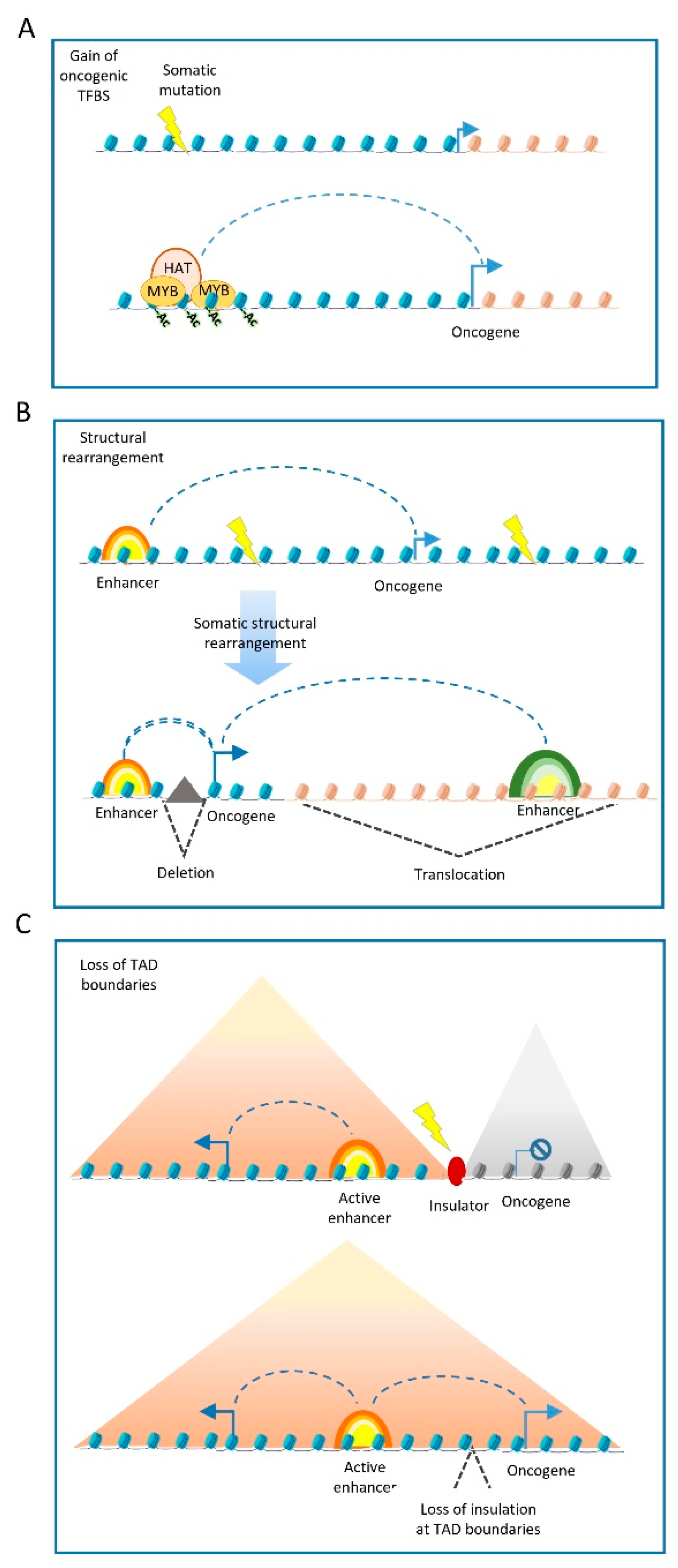 Cancers 13 03532 g002