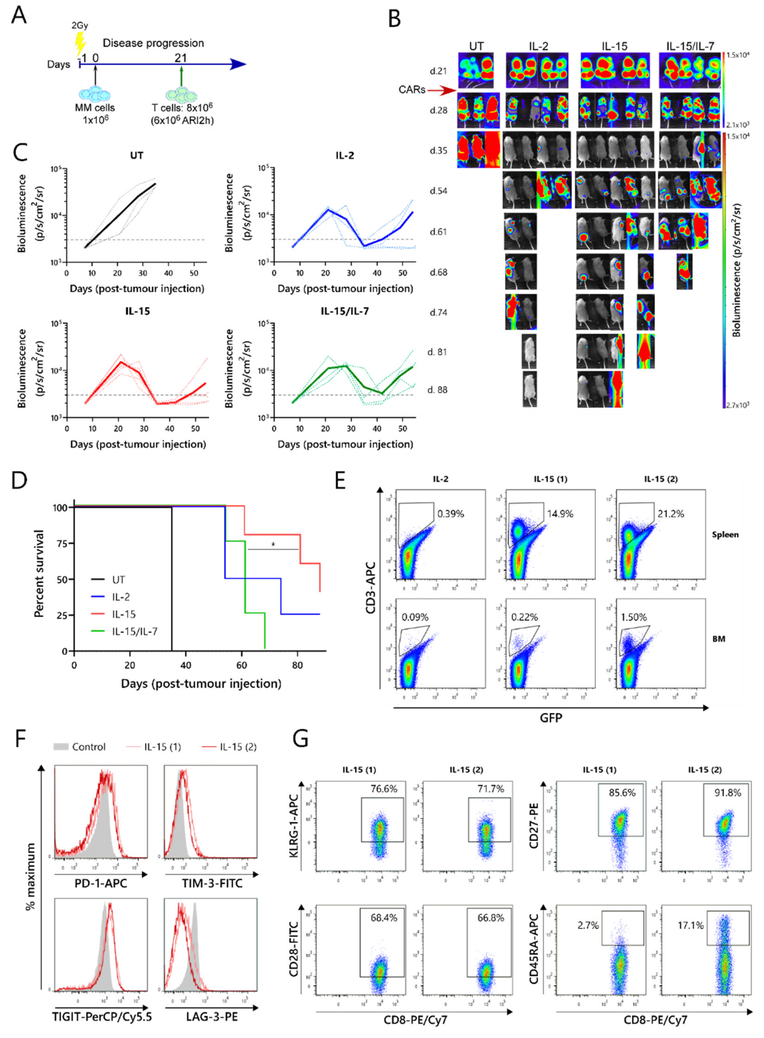 Cancers 13 03534 g003