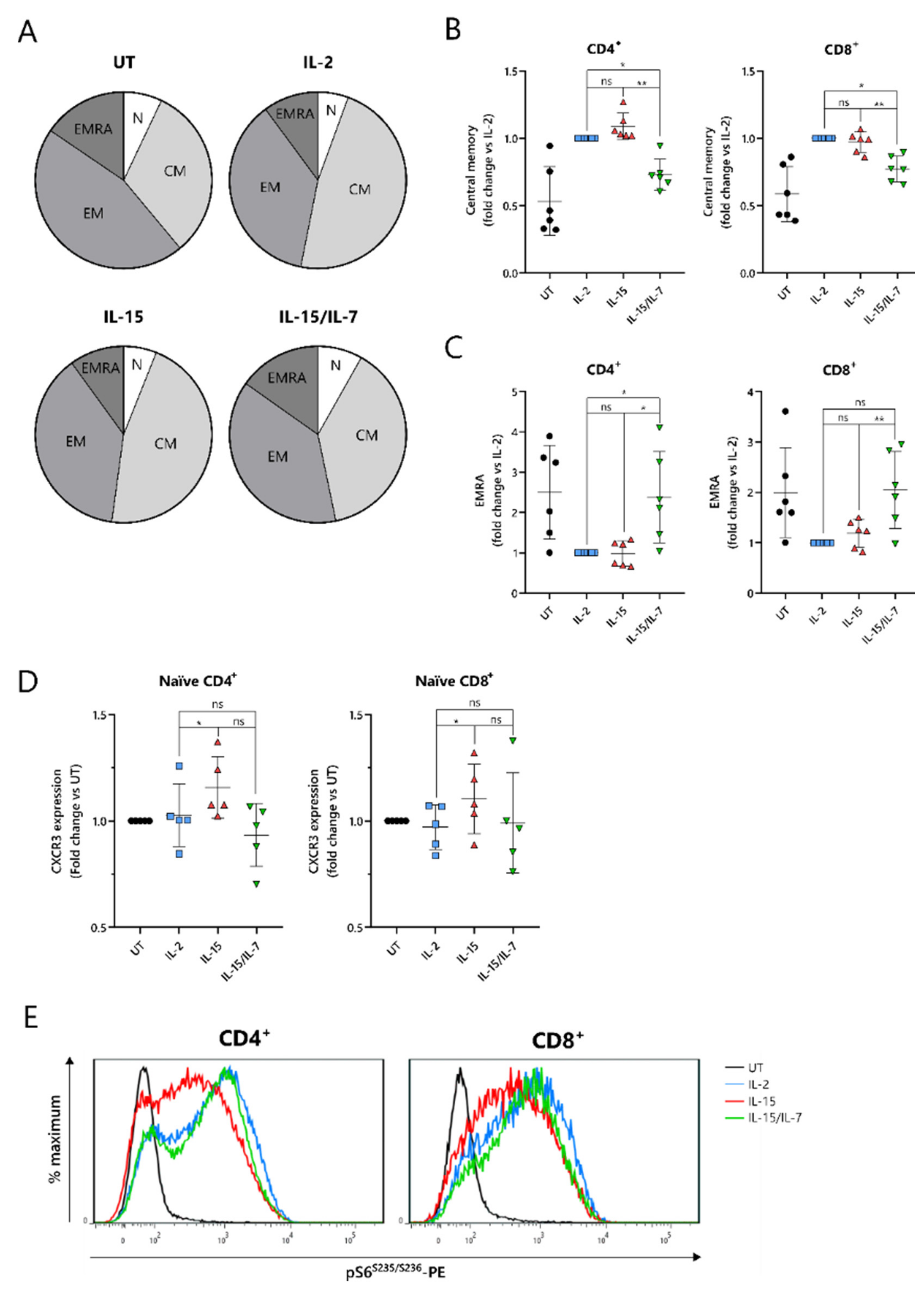 Cancers 13 03534 g004