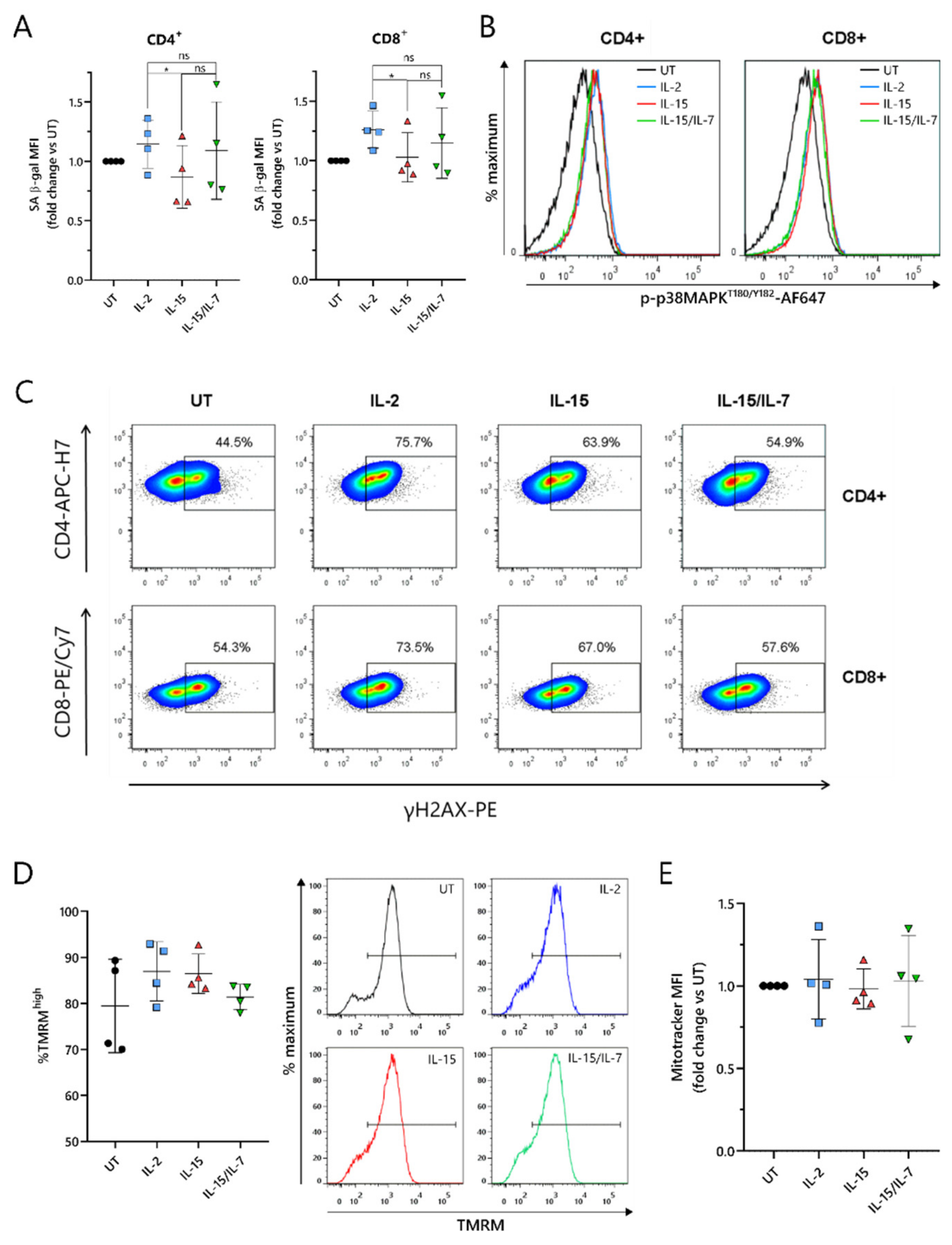 Cancers 13 03534 g006