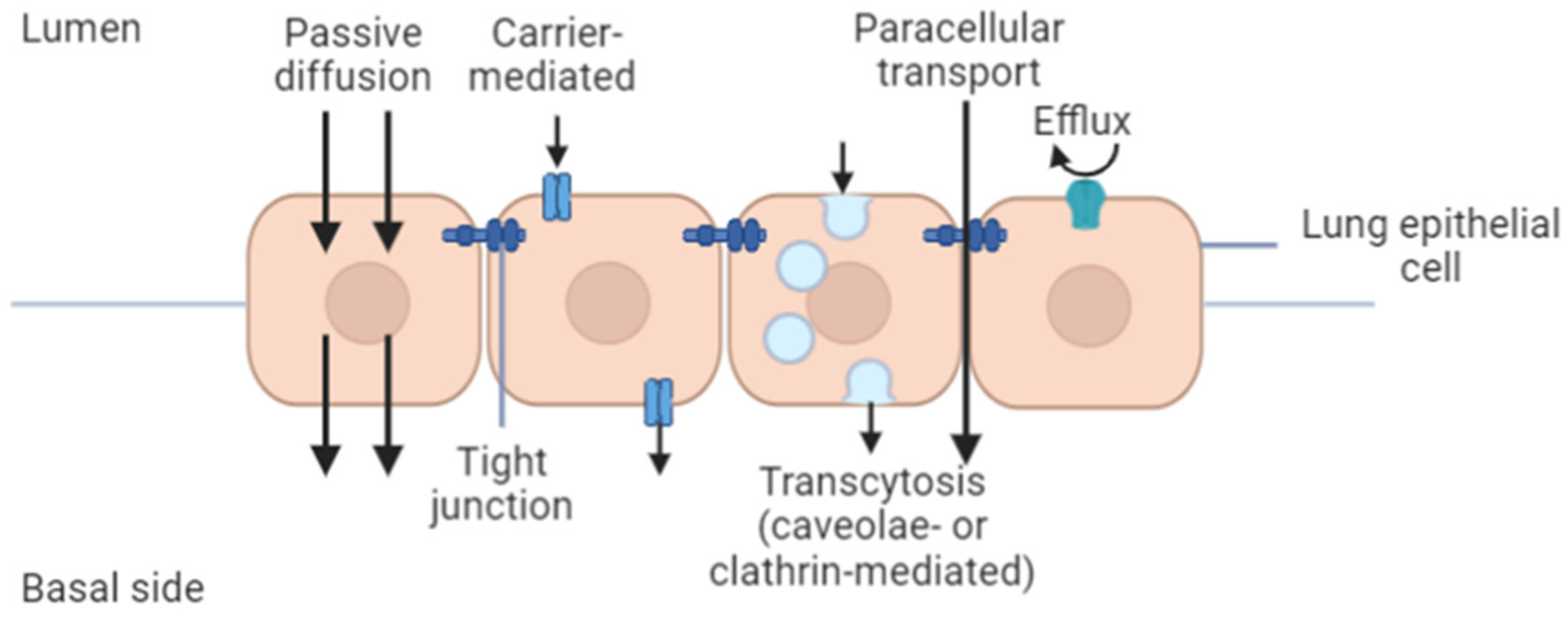 Cancers 13 03539 g002