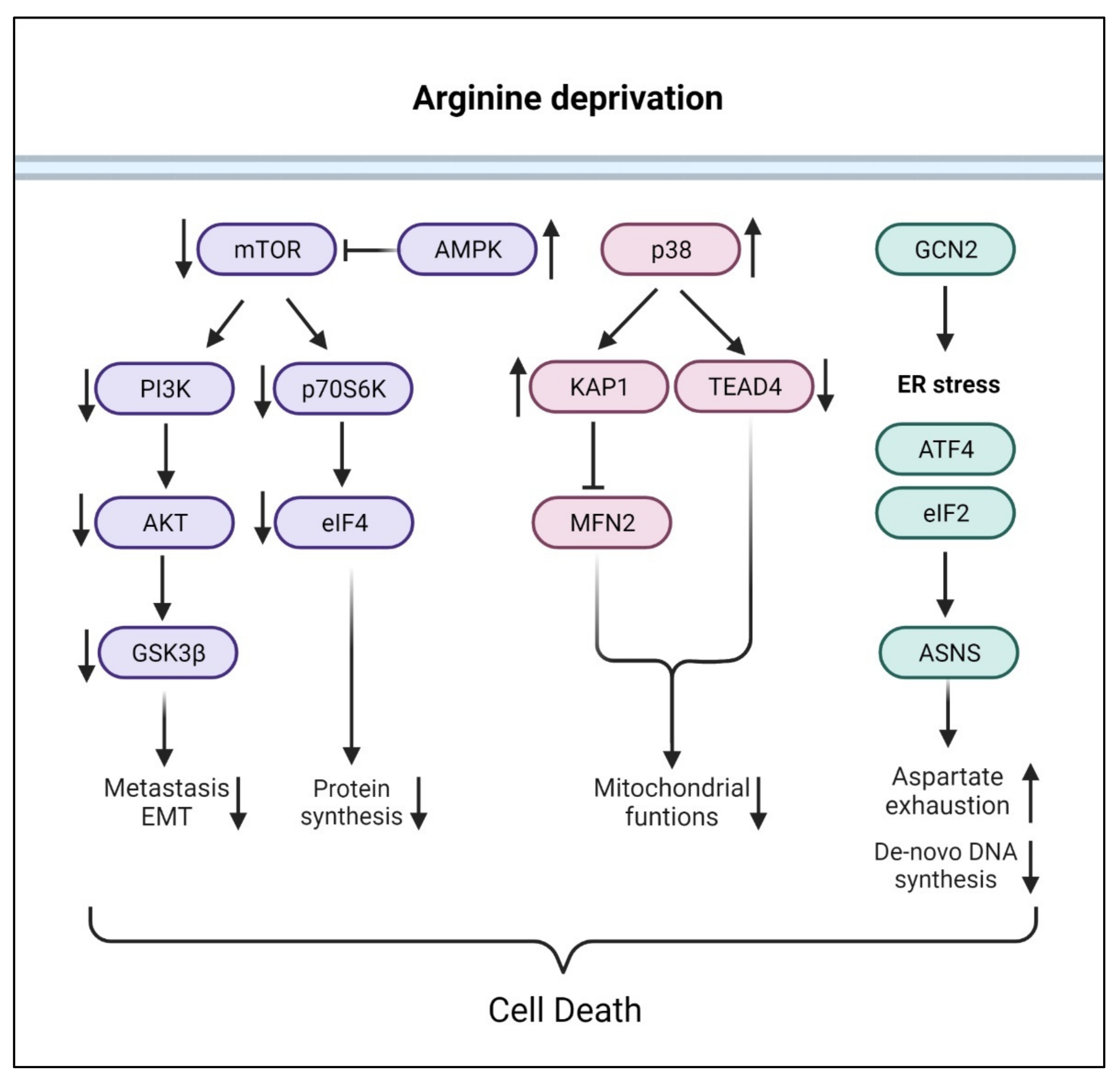 Cancers 13 03541 g003