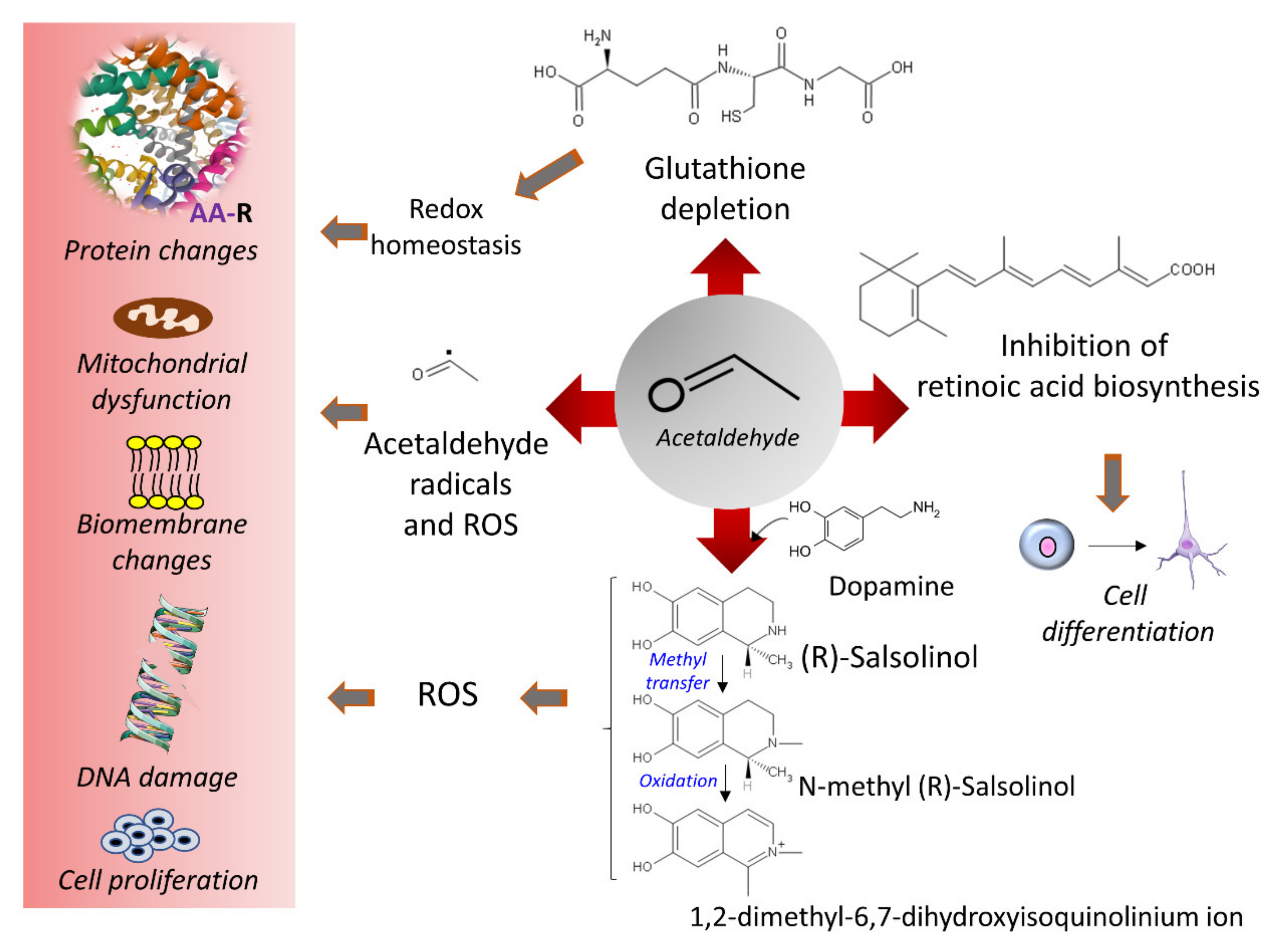 Cancers 13 03548 g002