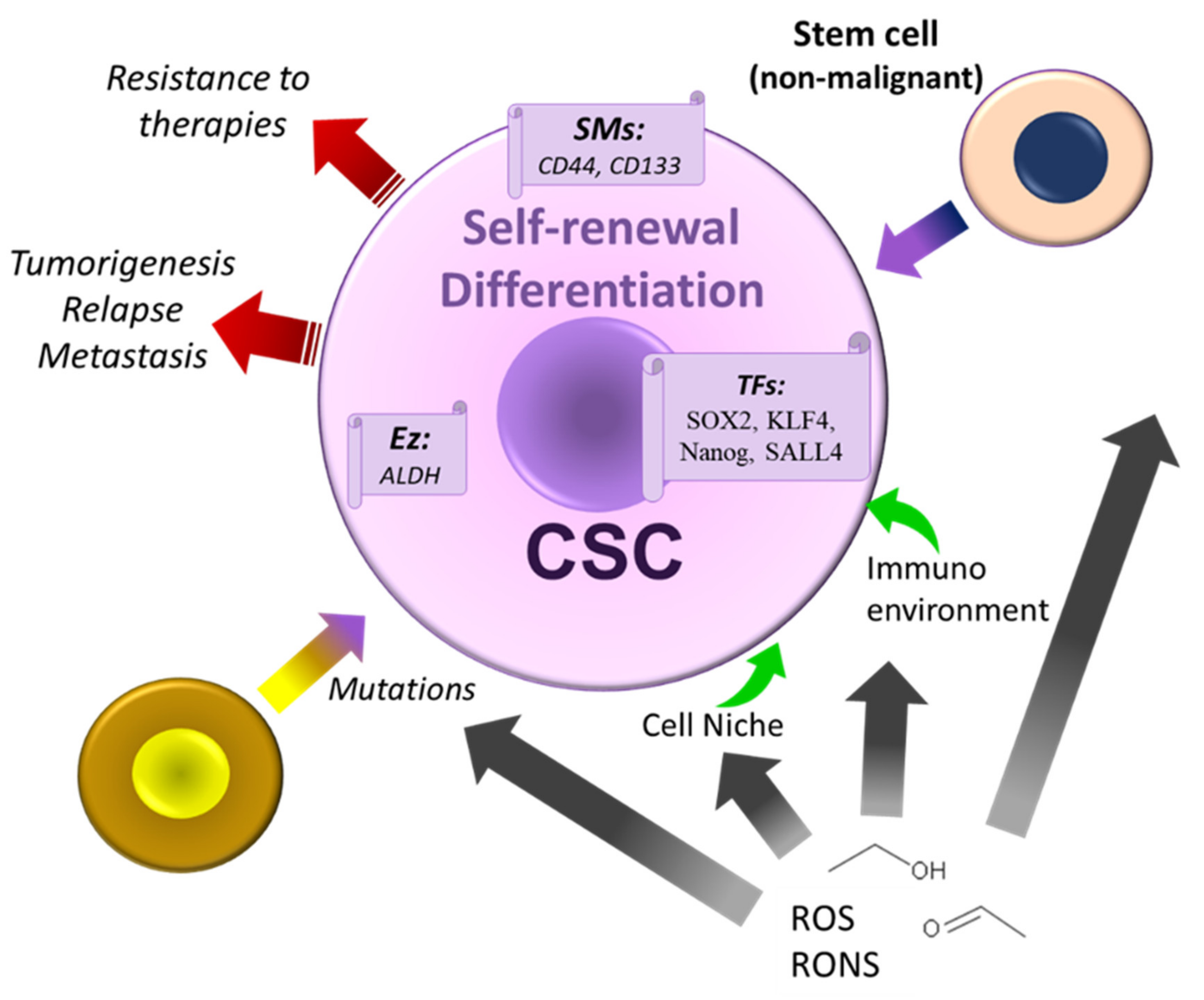 Cancers 13 03548 g008
