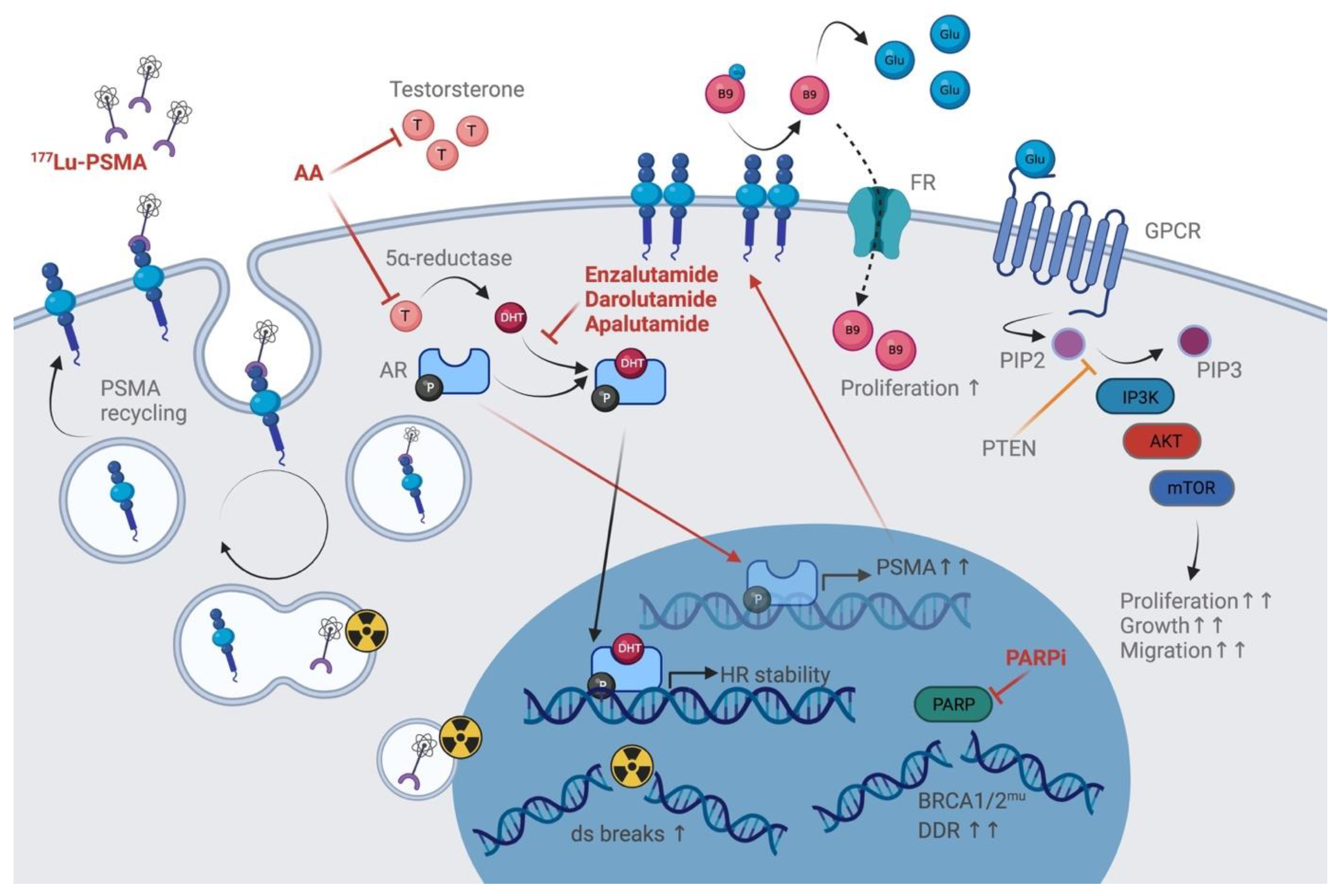 Cancers 13 03556 g001