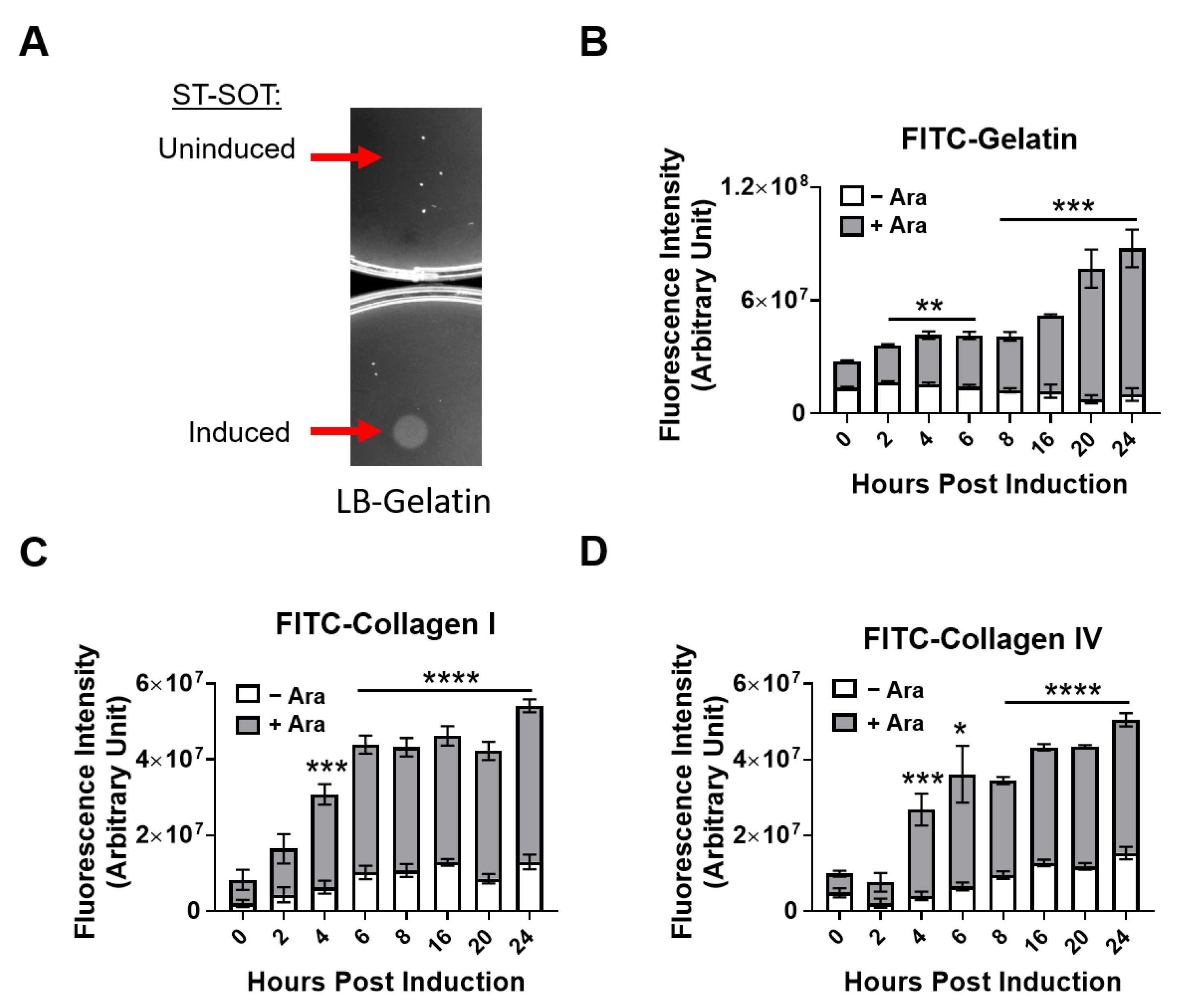 Cancers 13 03565 g002