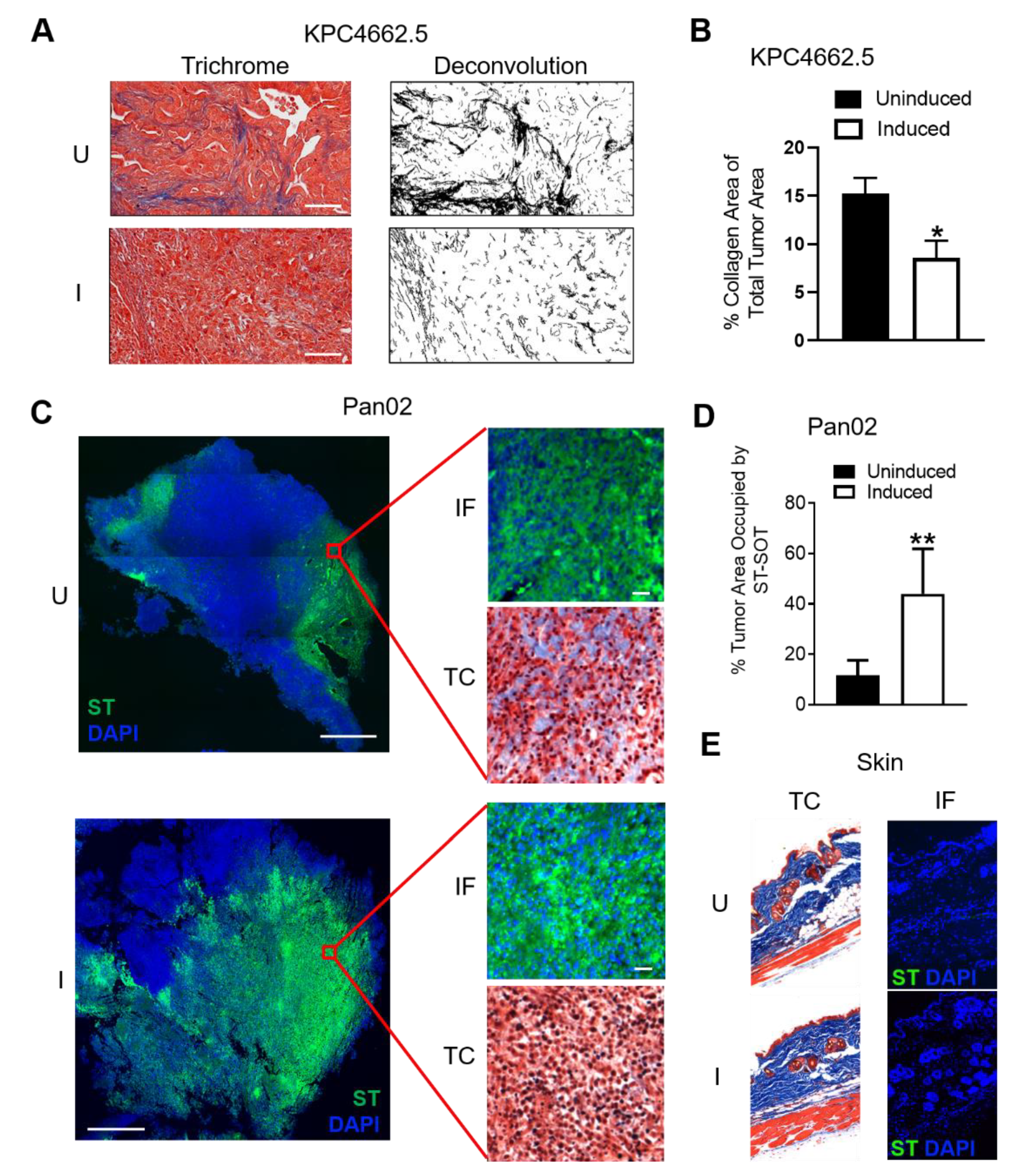 Cancers 13 03565 g003