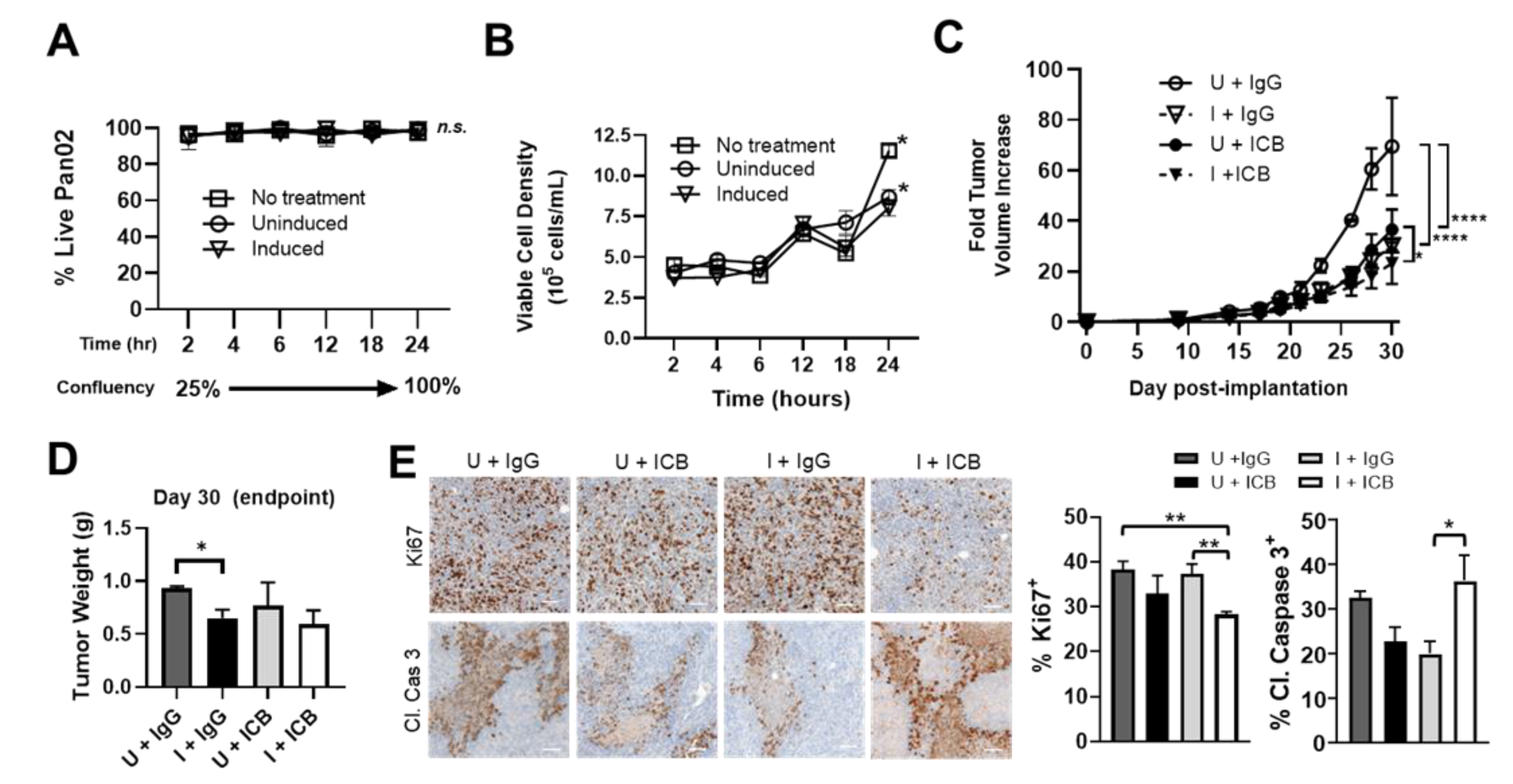 Cancers 13 03565 g005
