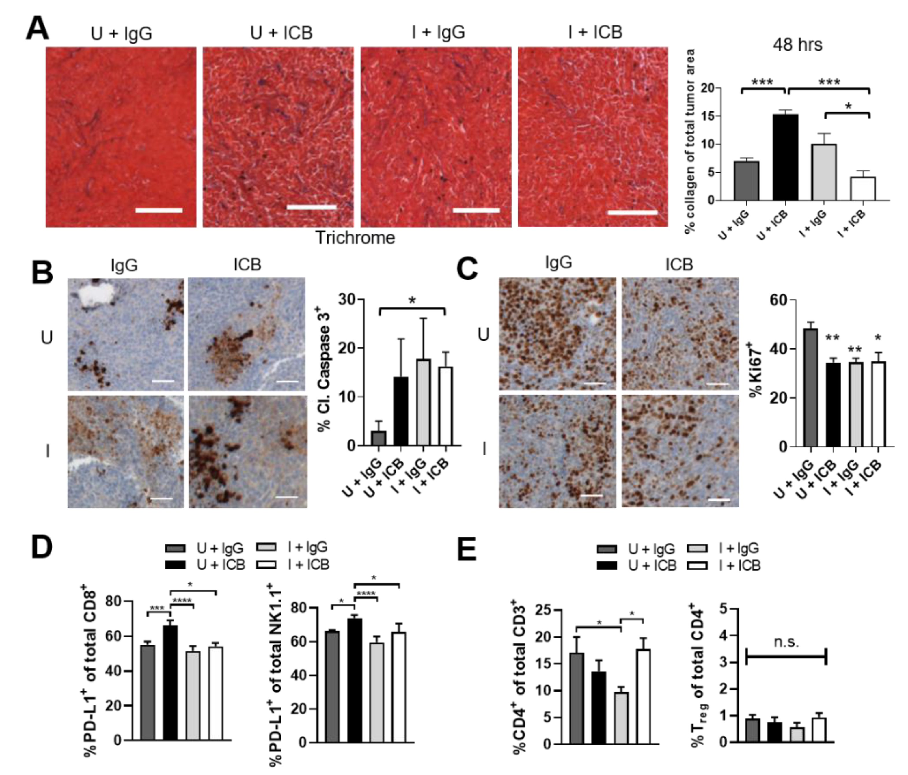 Cancers 13 03565 g006