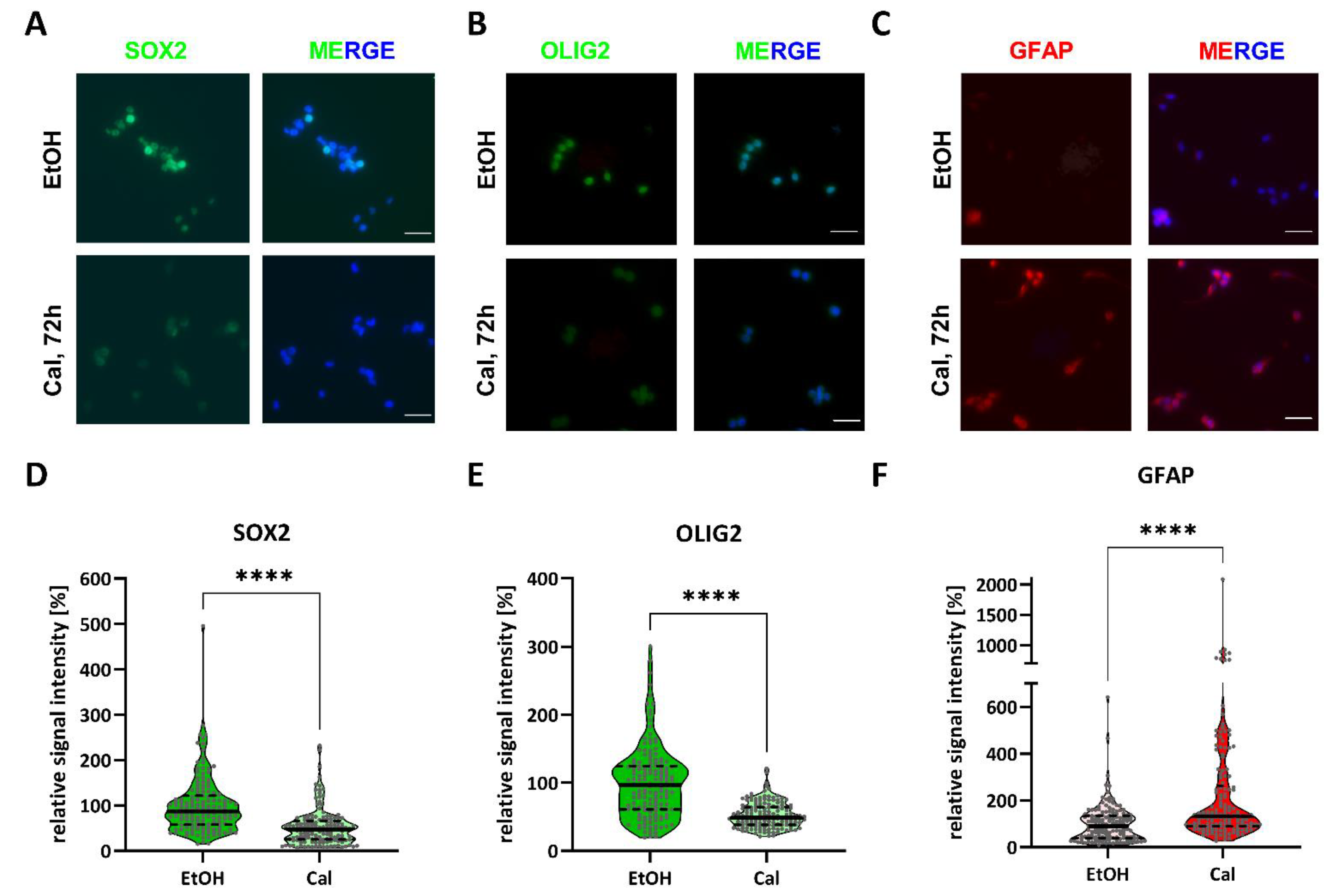 Cancers 13 03577 g006