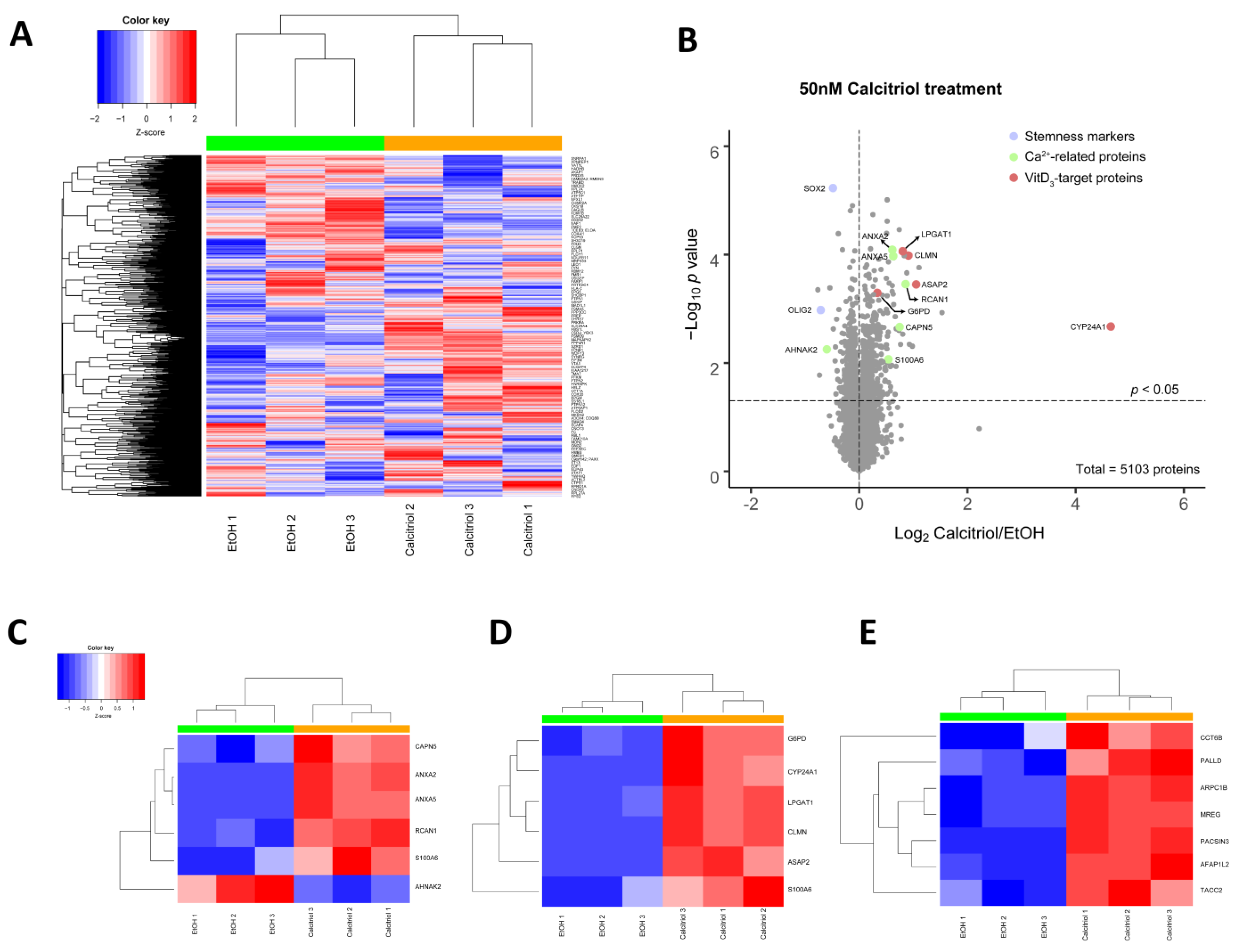 Cancers 13 03577 g007