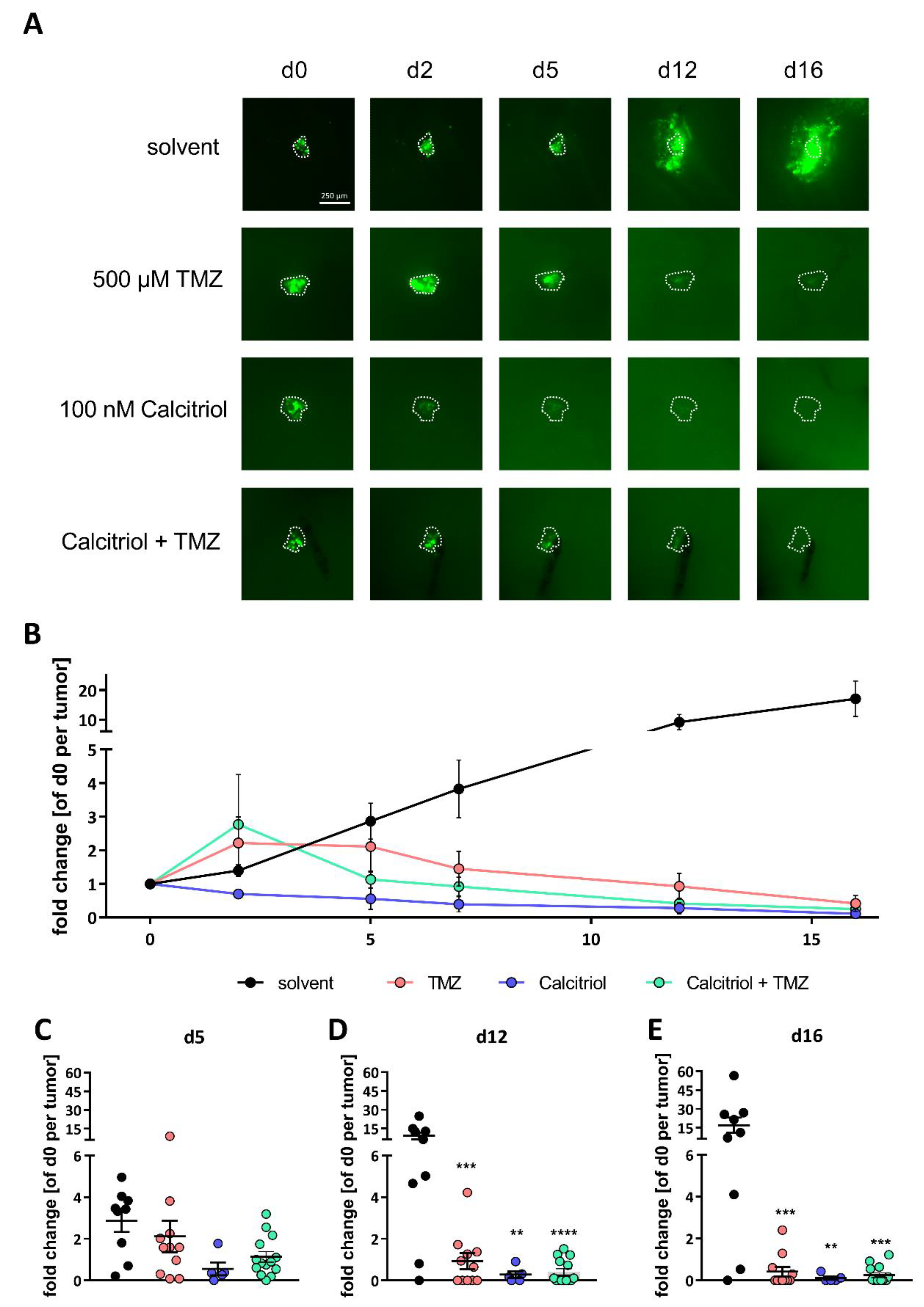 Cancers 13 03577 g009