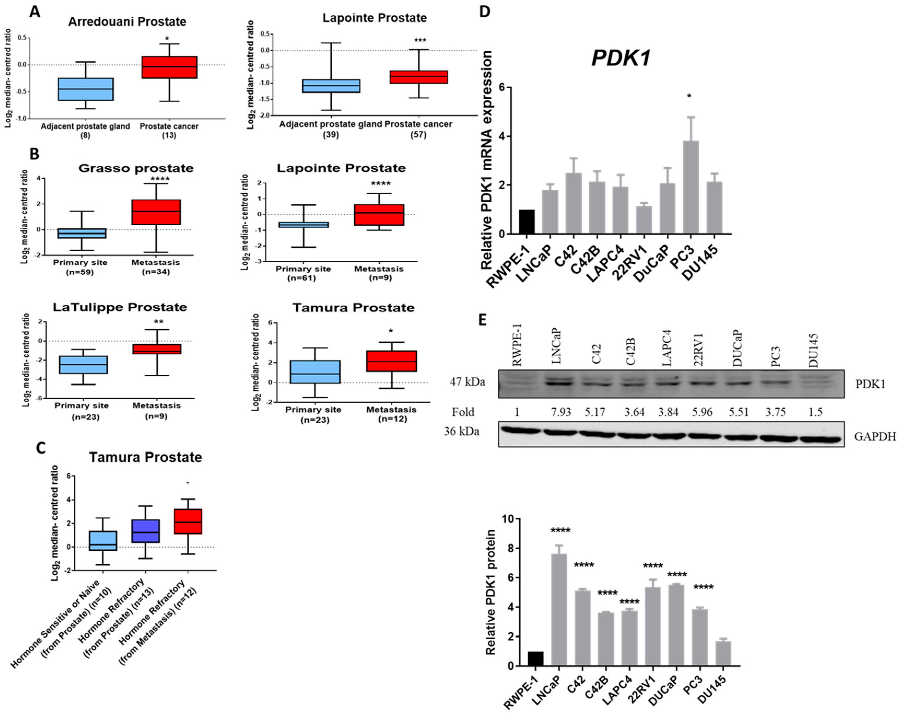 Cancers 13 03582 g001 Cancers 13 03582 g001