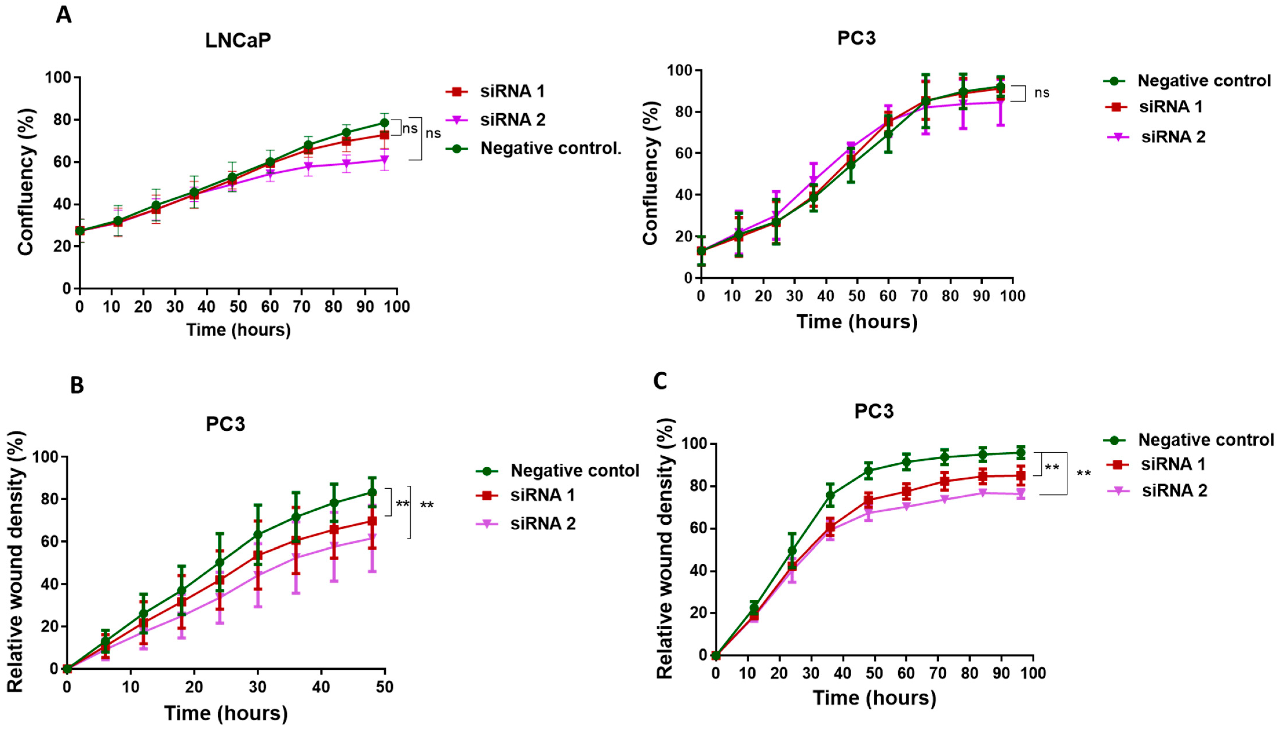 Cancers 13 03582 g002 Cancers 13 03582 g002
