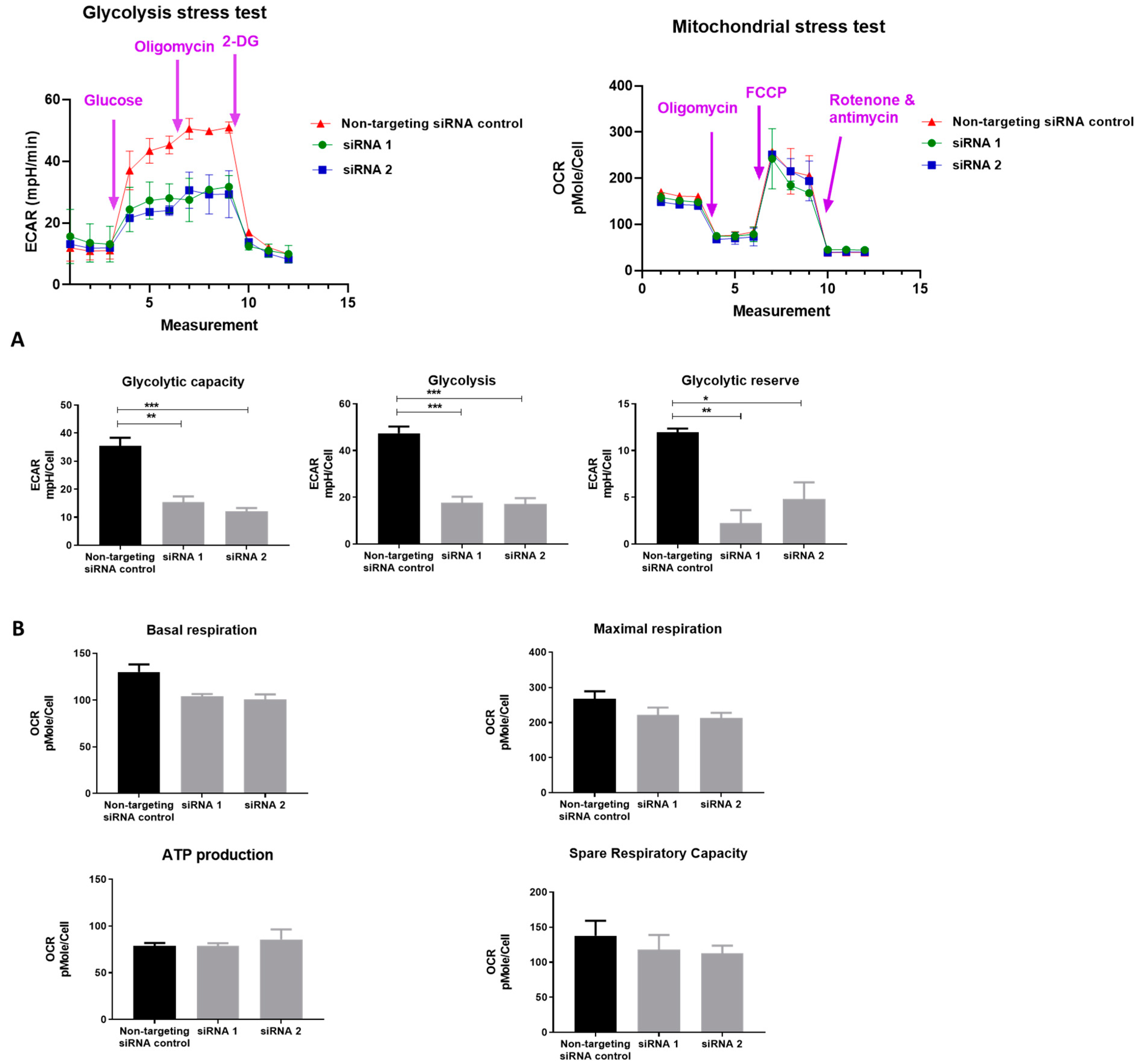 Cancers 13 03582 g003 Cancers 13 03582 g003