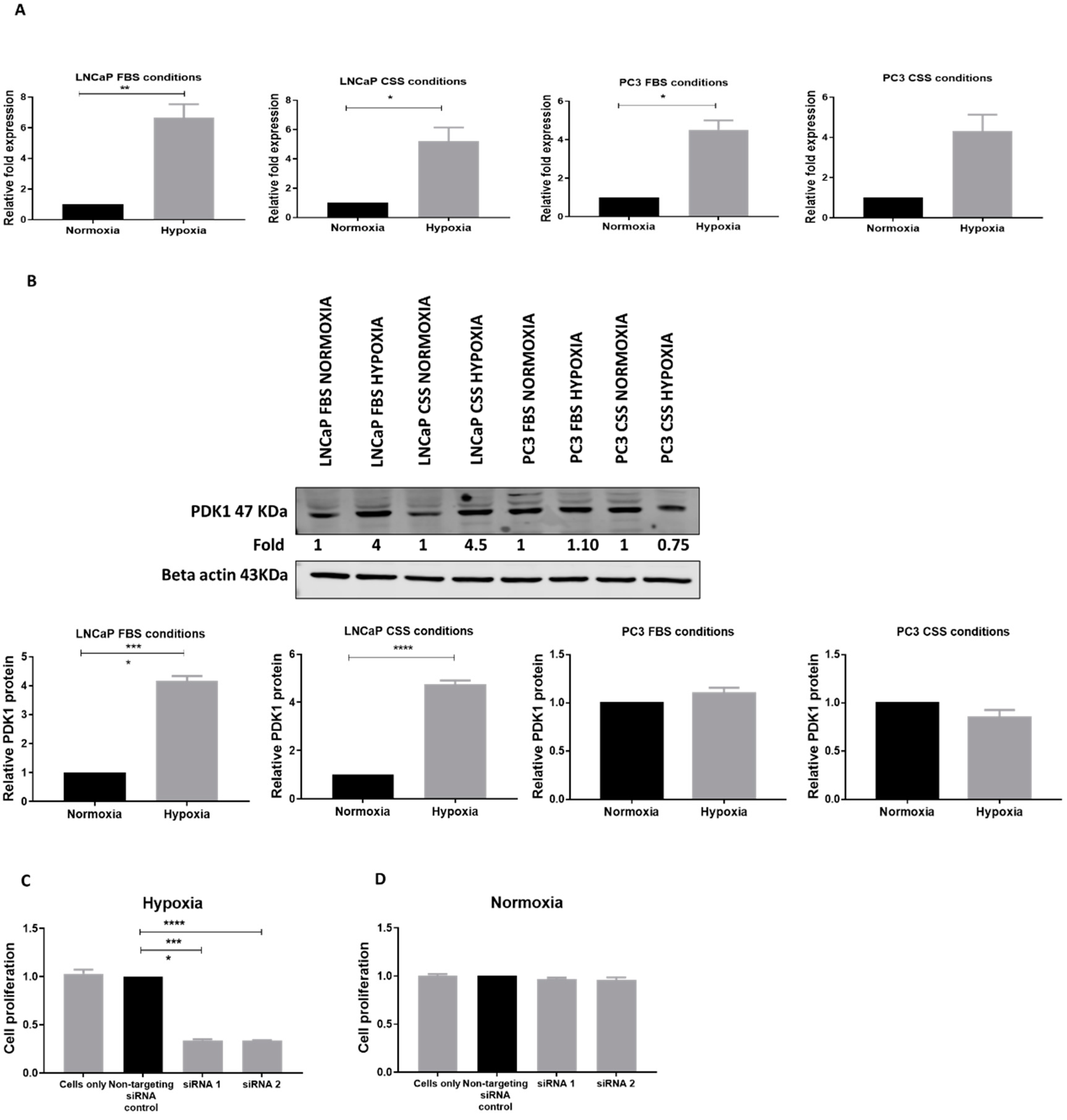 Cancers 13 03582 g004 Cancers 13 03582 g004