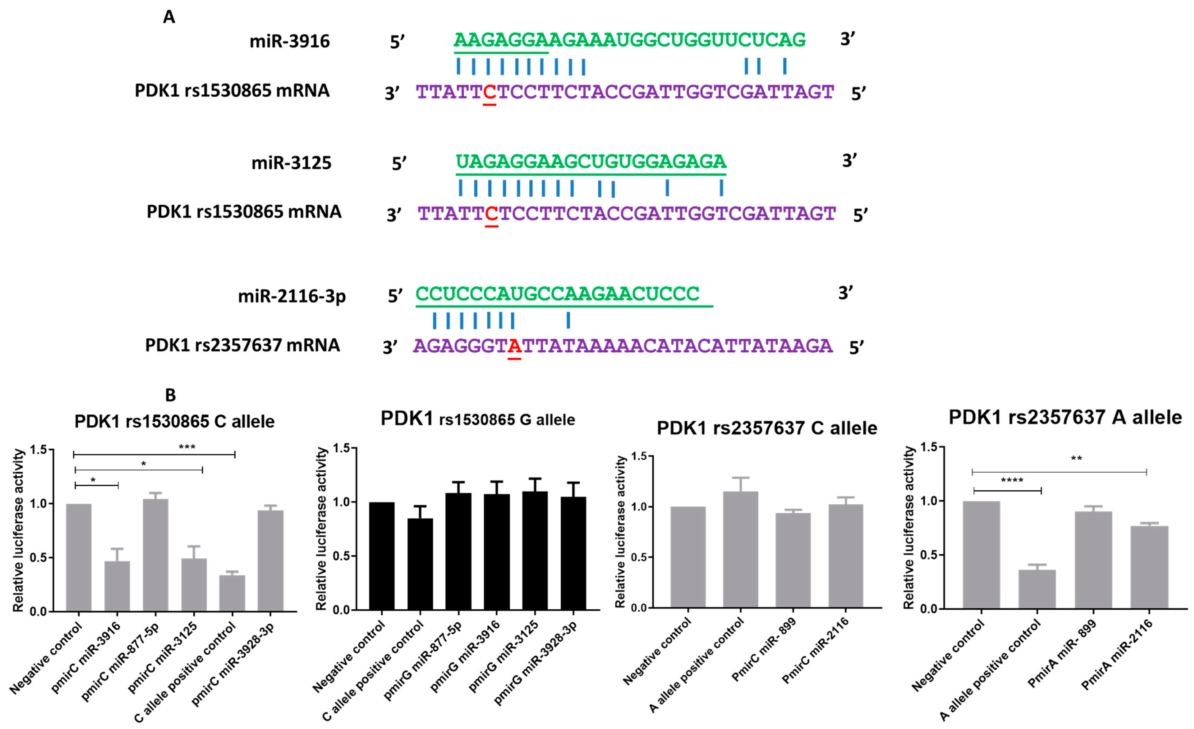 Cancers 13 03582 g005 Cancers 13 03582 g005